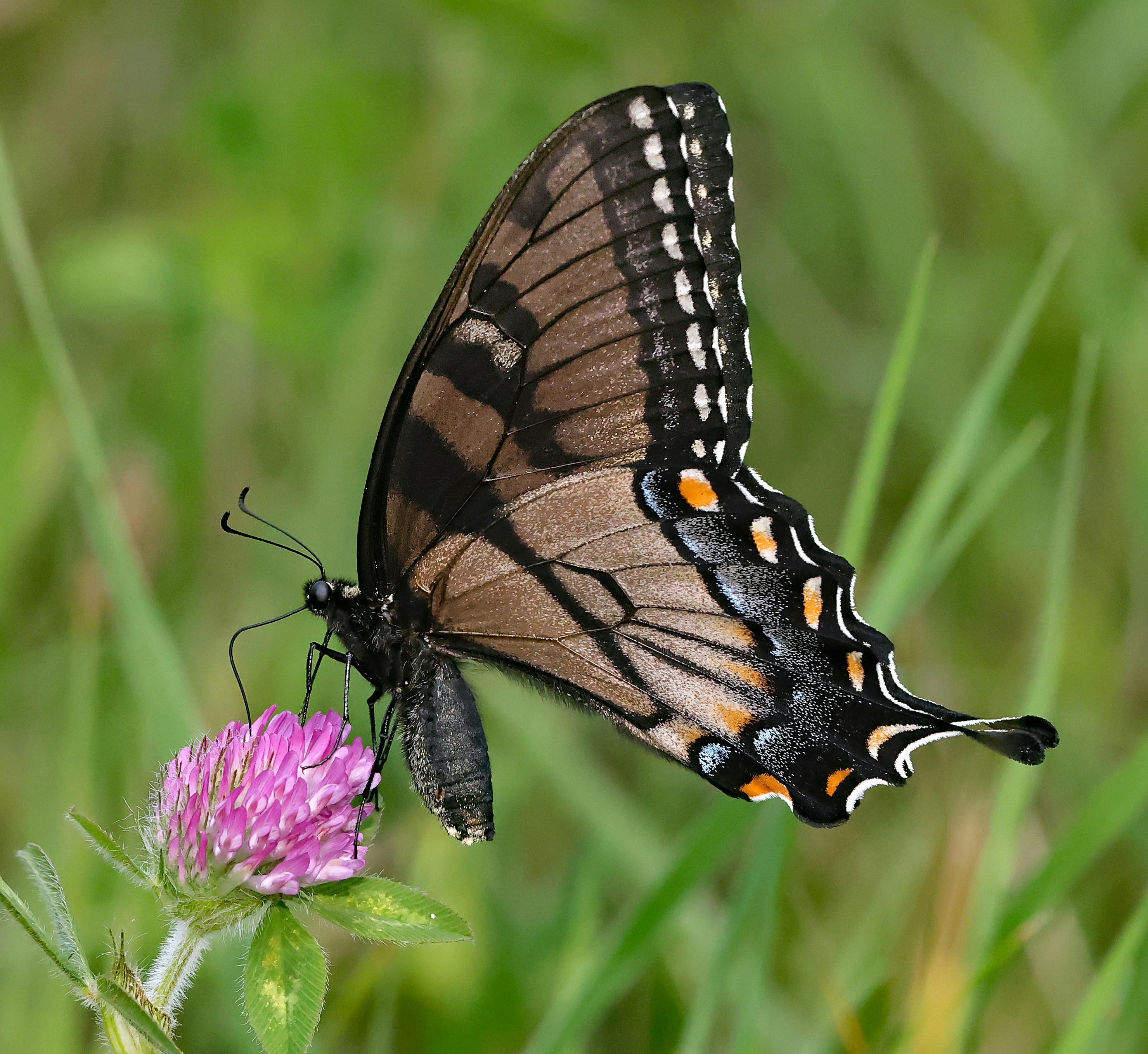 Photo by telliottmbamsc