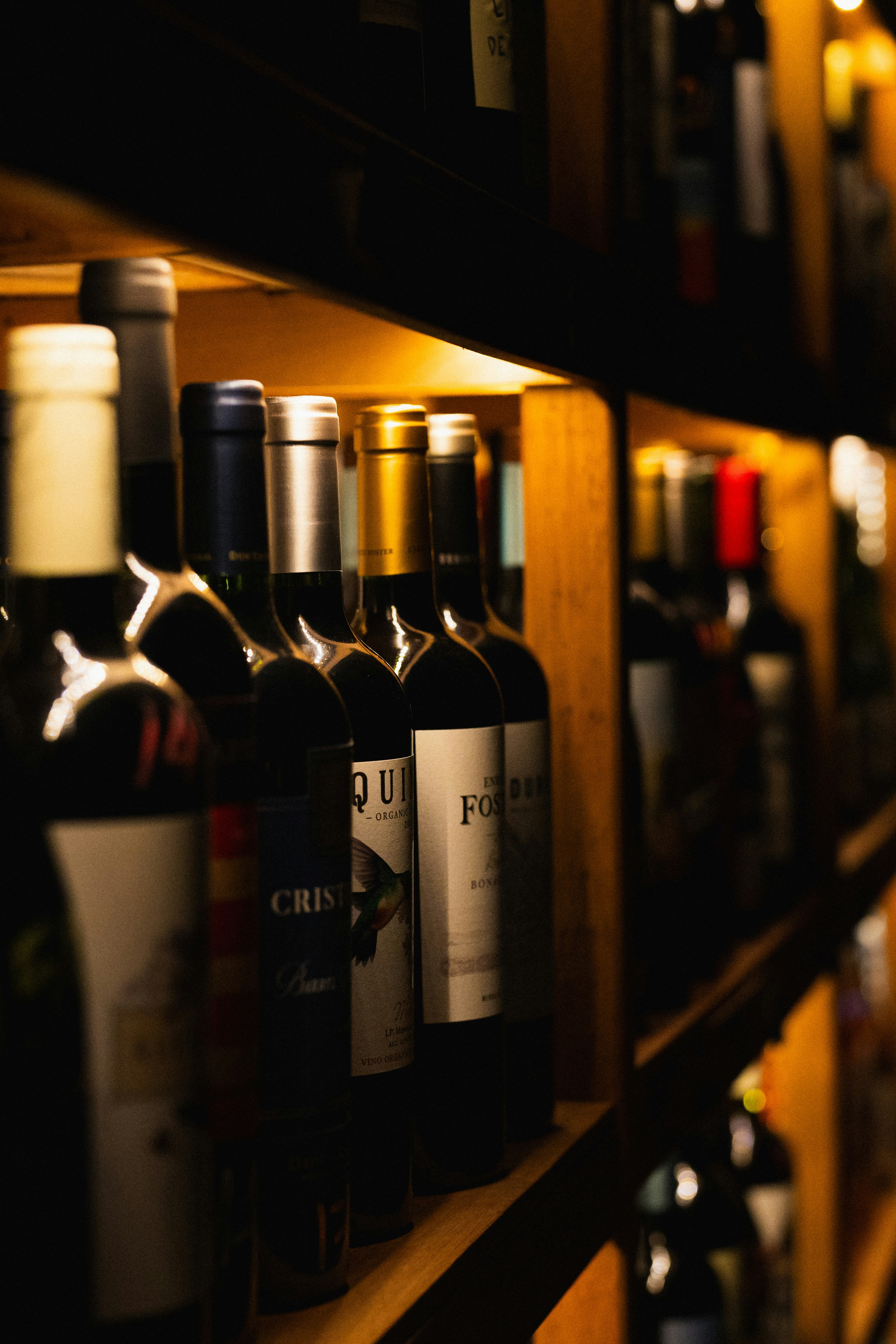 Photo by justalifein