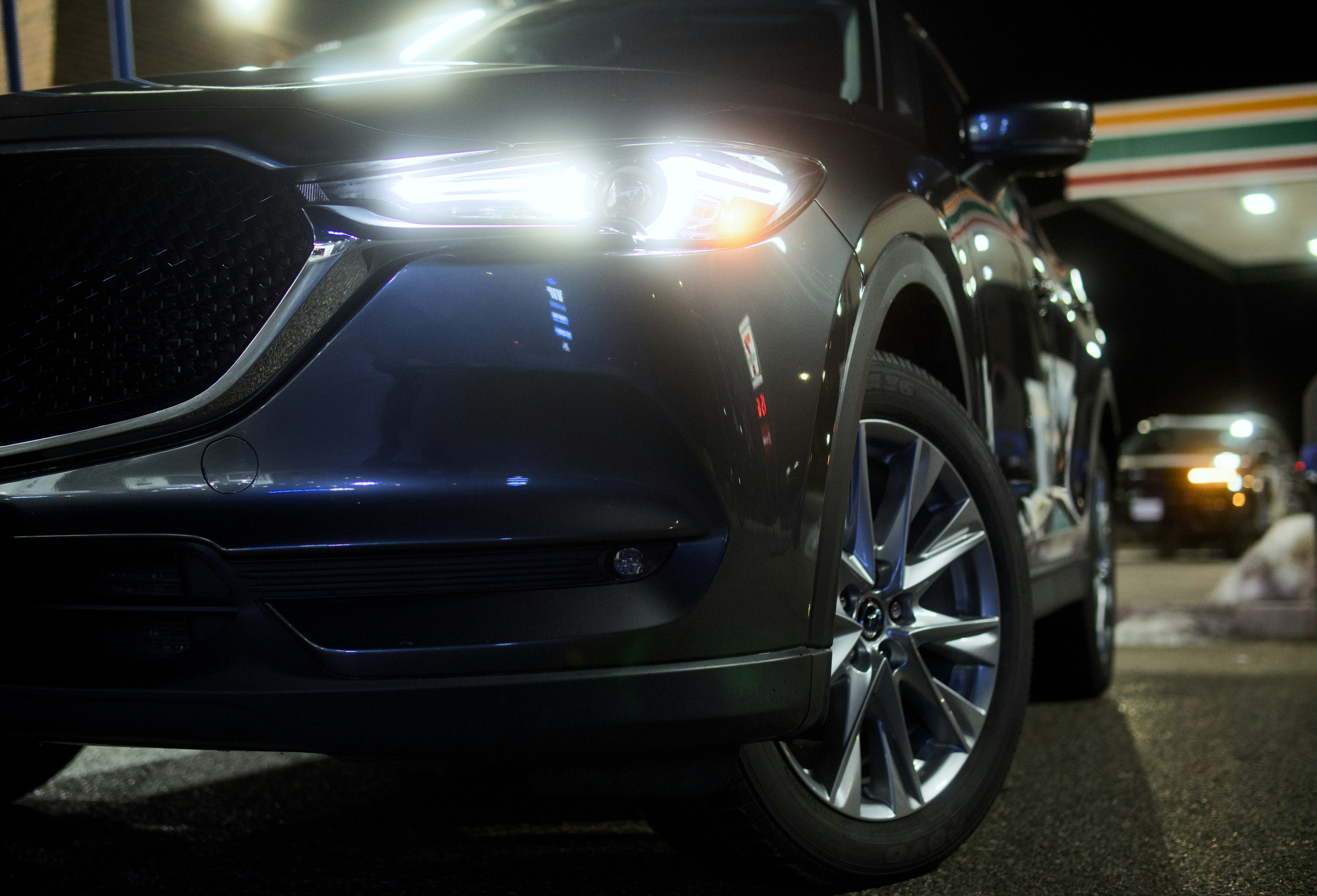 Photo by swollfadder