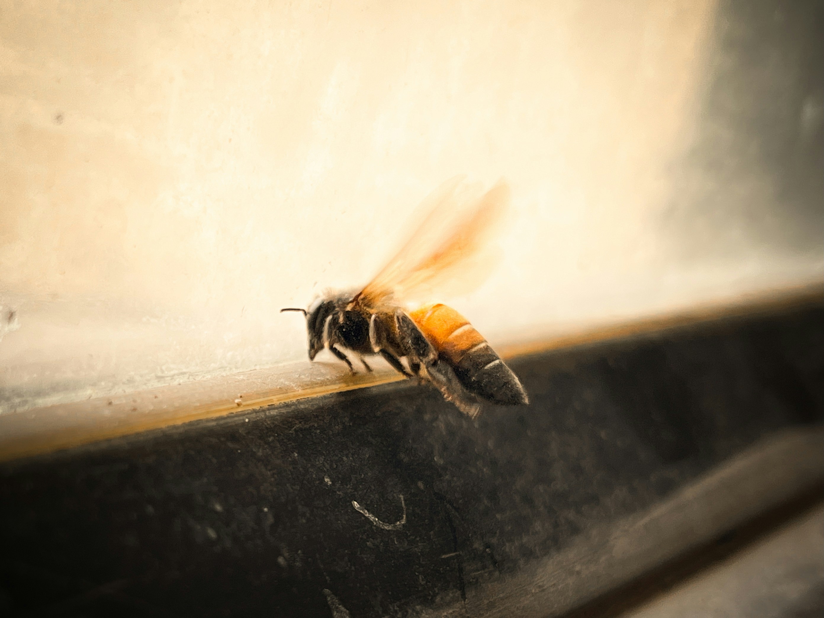 Photo by iamdivyanshdwivedi