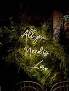 Neon sign says "all you need is love".