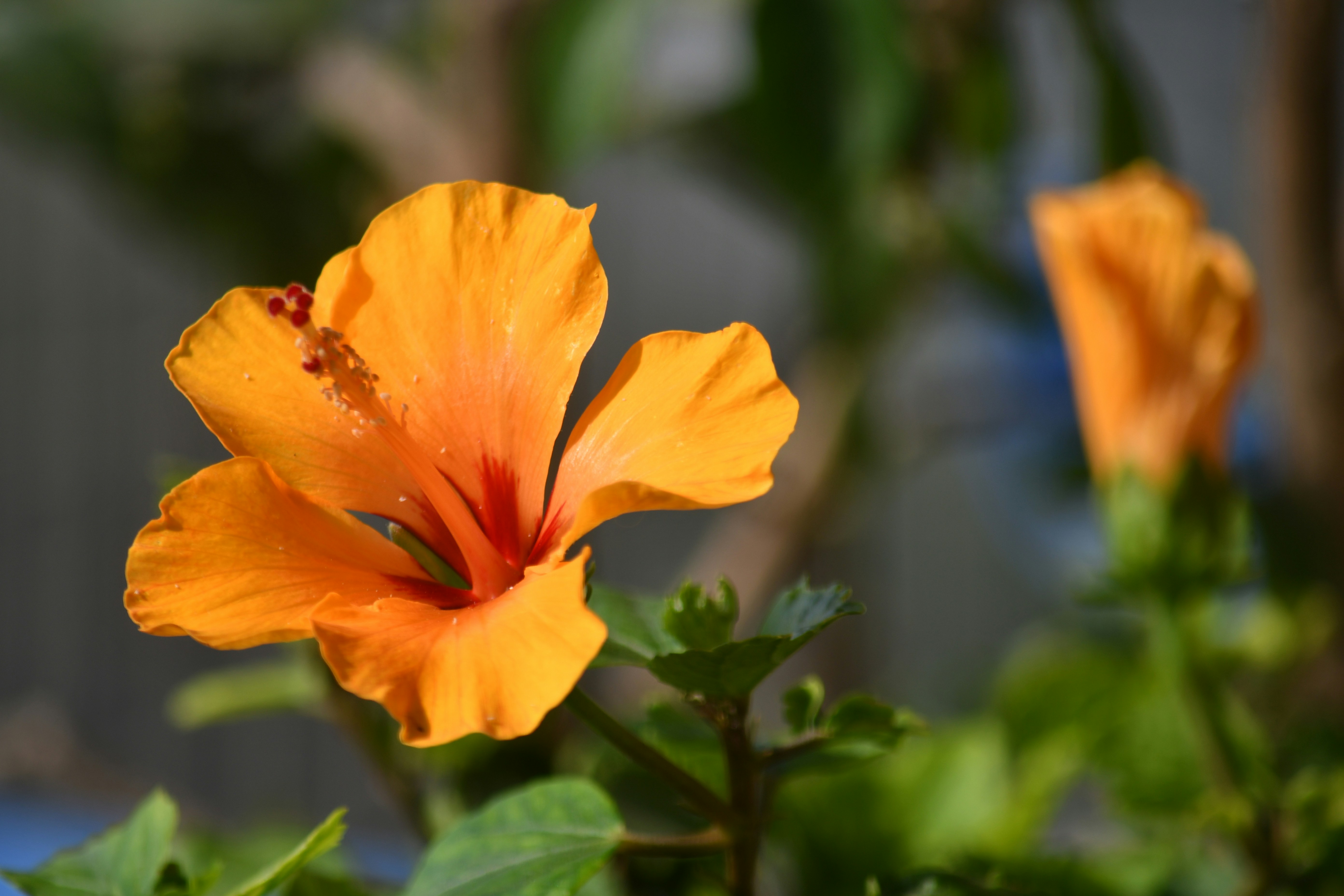 Photo by rangarajan82