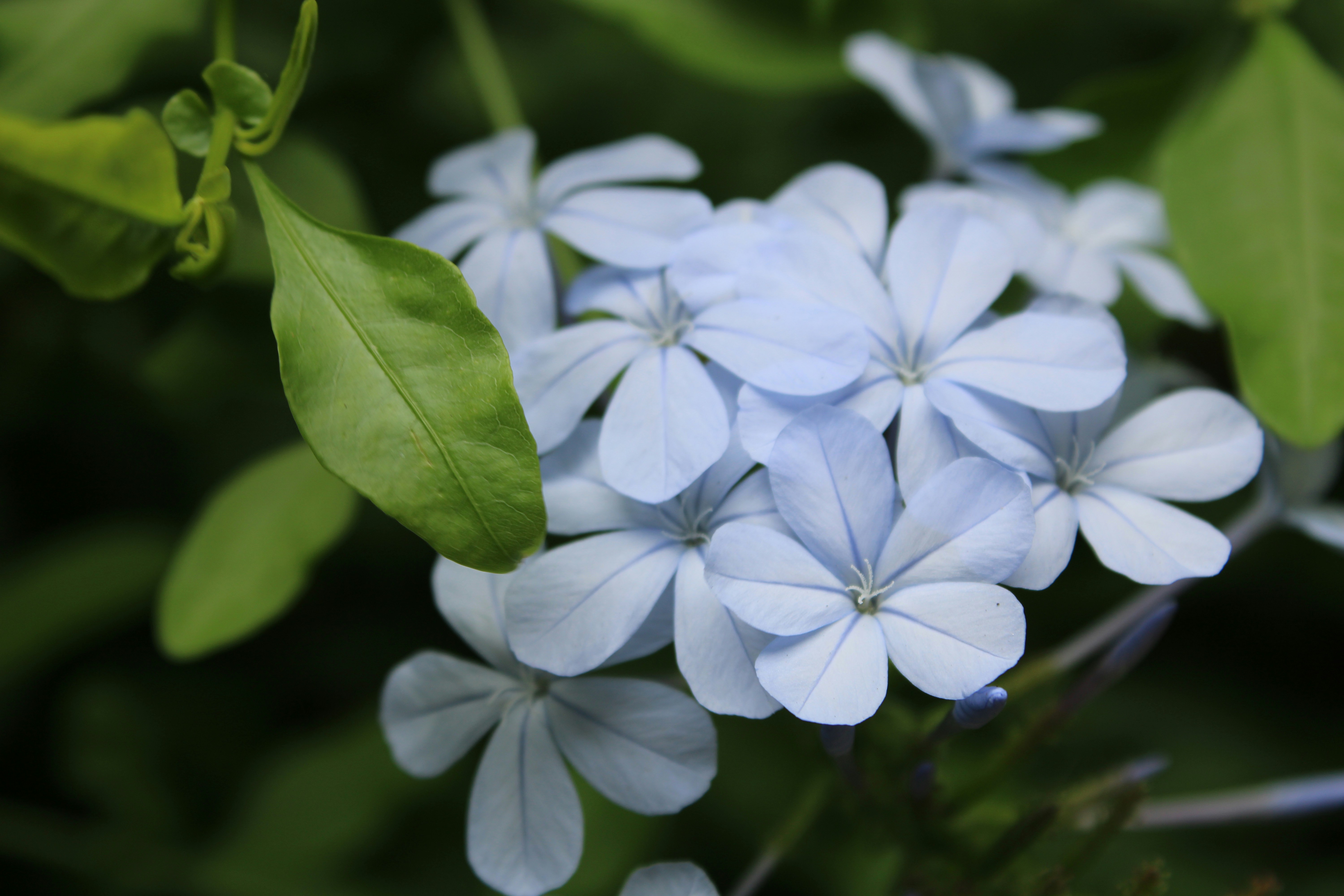 Photo by oliviagdahl09