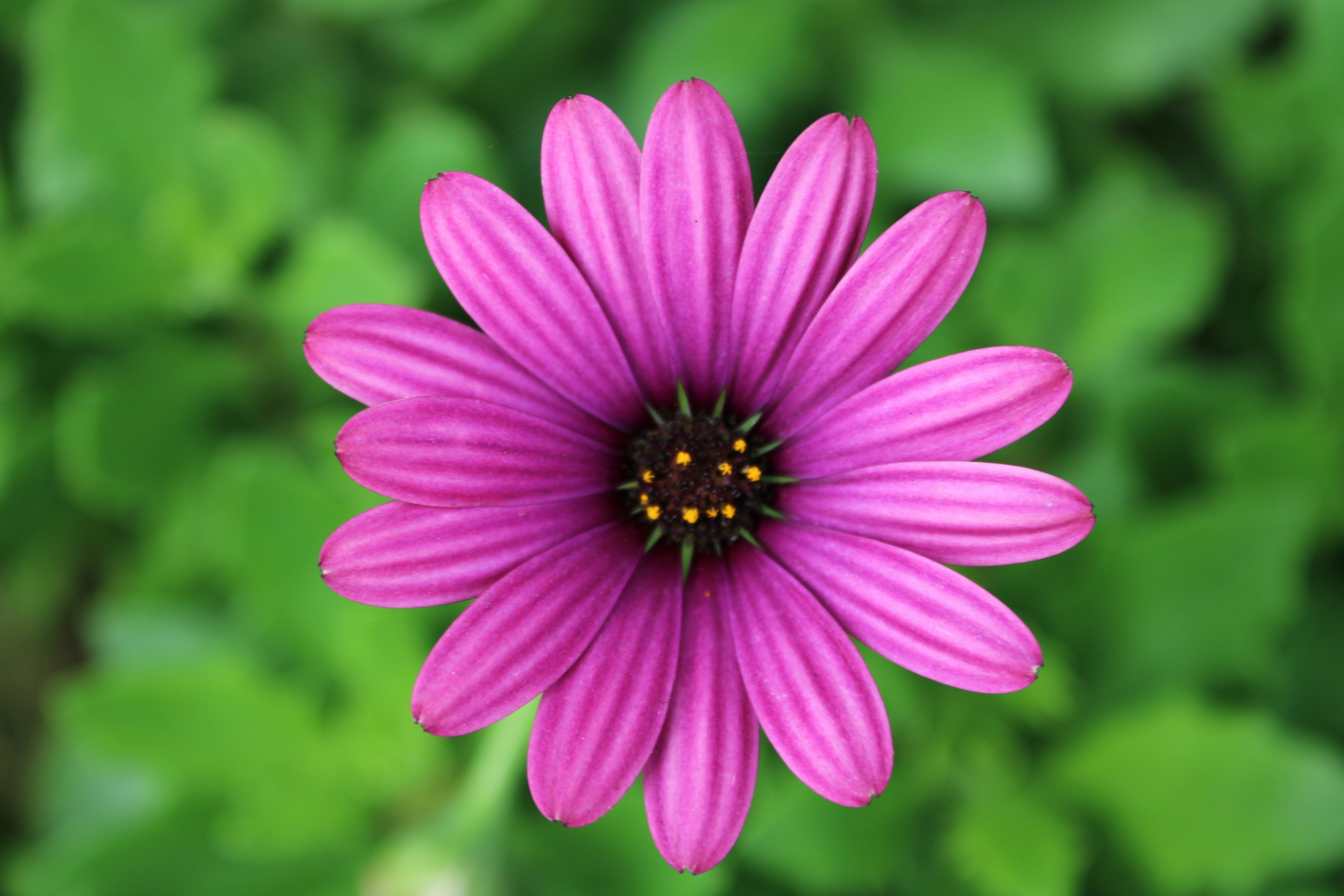 Photo by oliviagdahl09