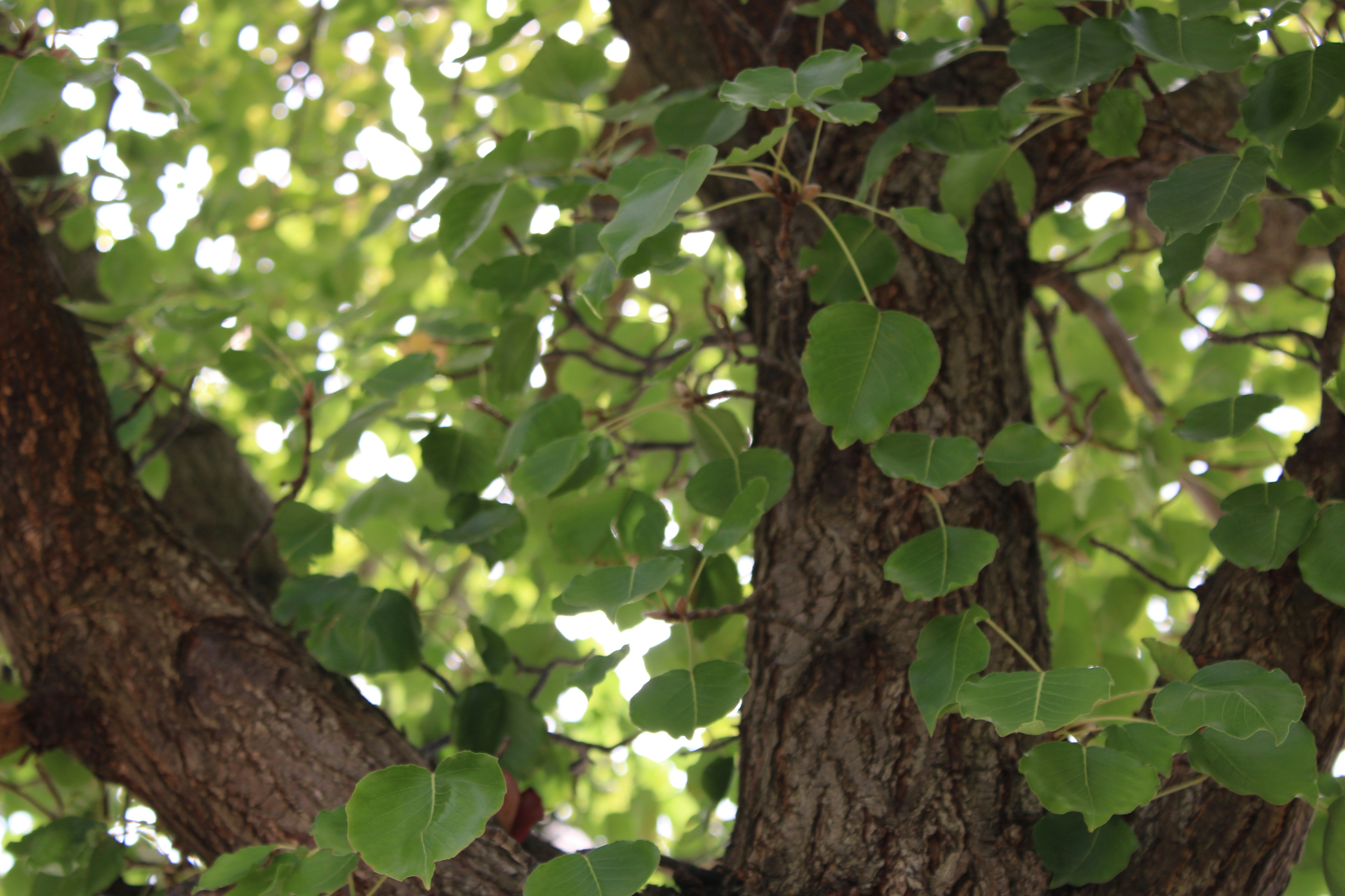 Photo by oliviagdahl09