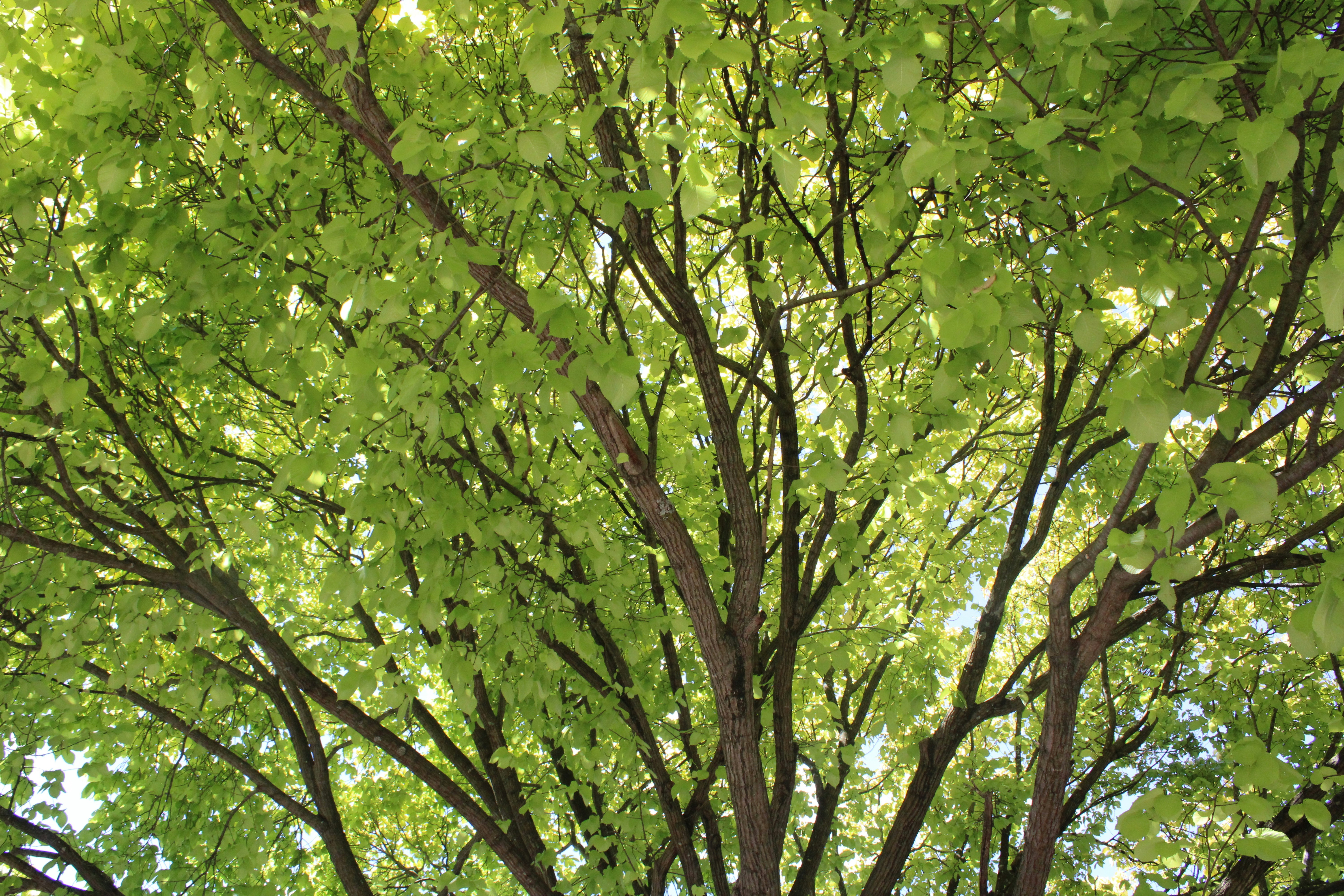 Photo by oliviagdahl09