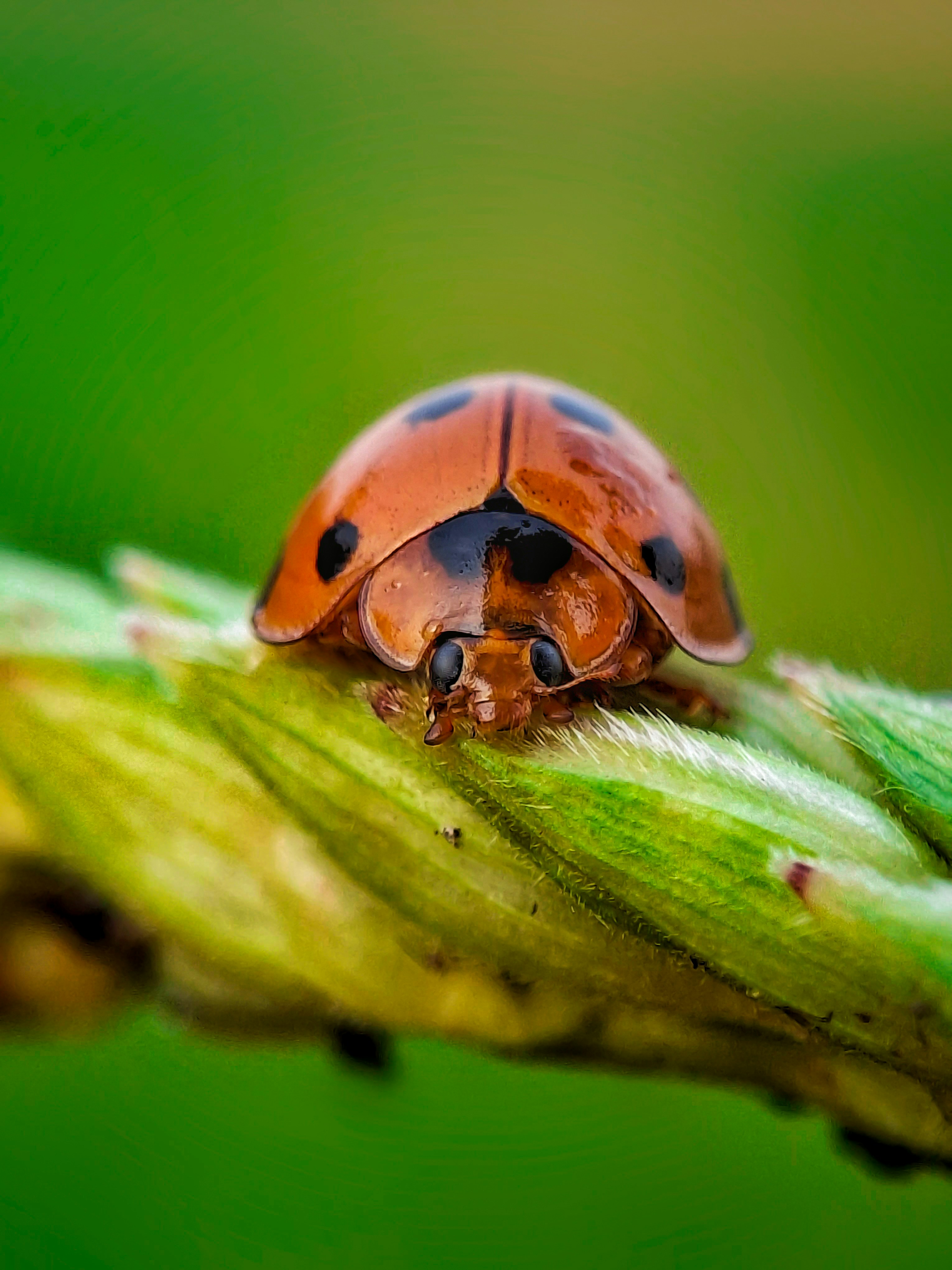 Photo by abdulrouf7463