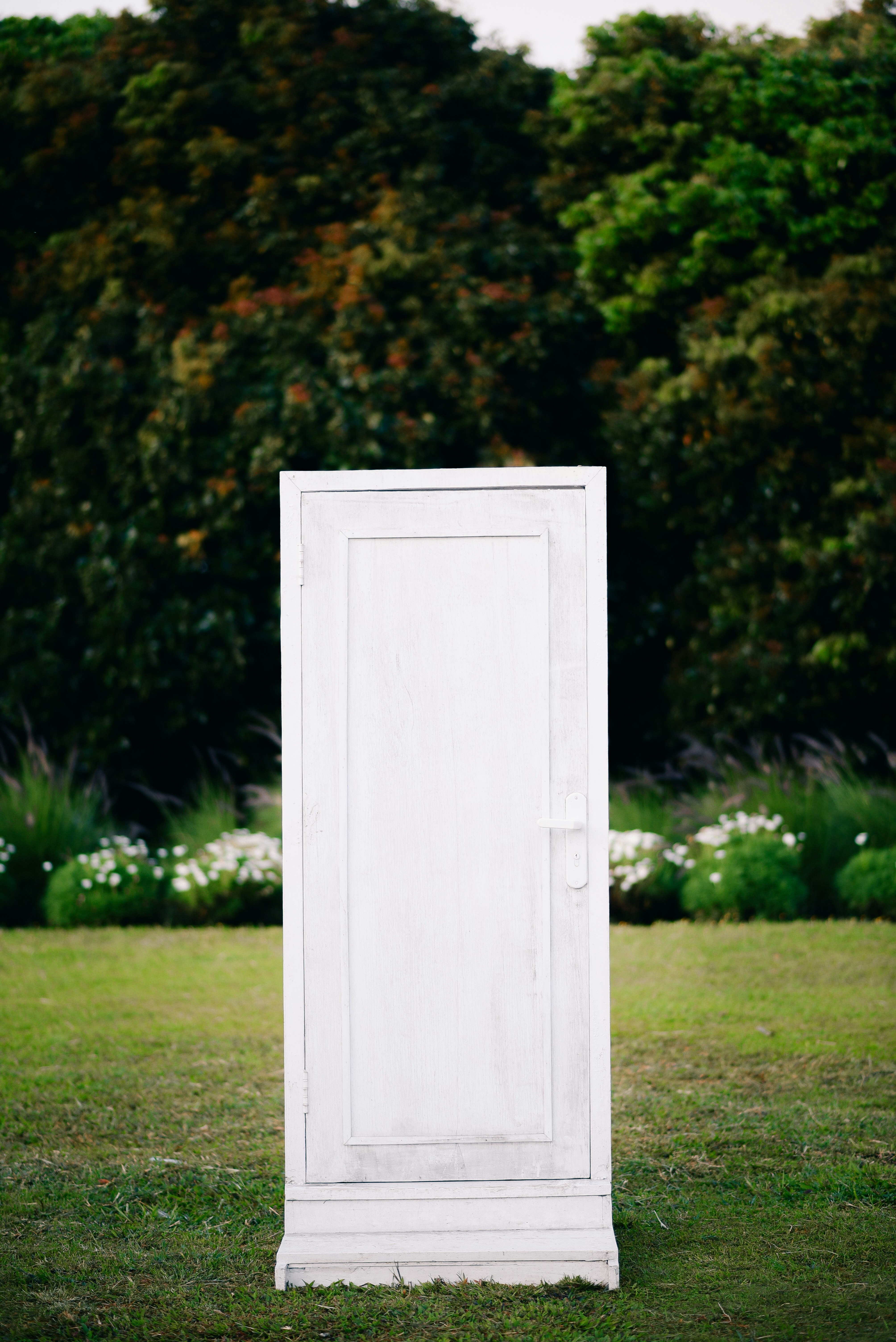 A white door stands in a green field.