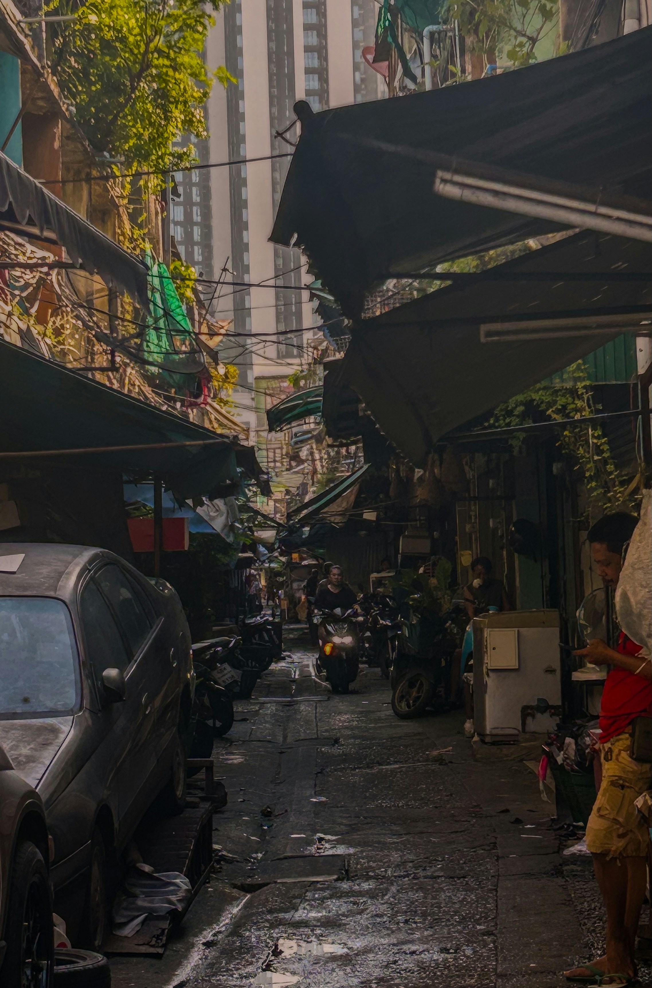 Photo by rajgajendran