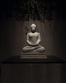 A buddha statue sits serenely in the shadows.
