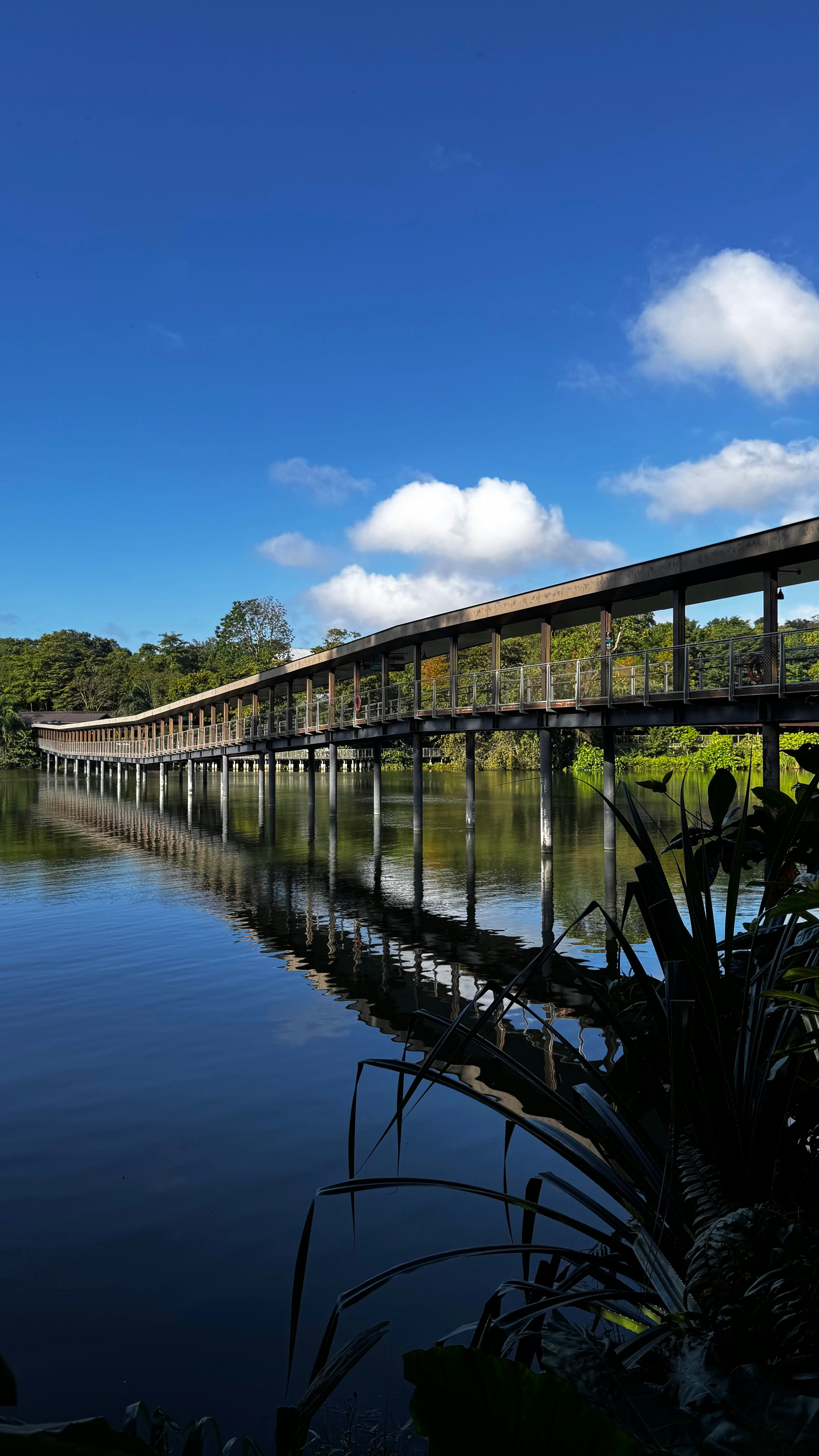 A wooden bridge reflects on the calm water
