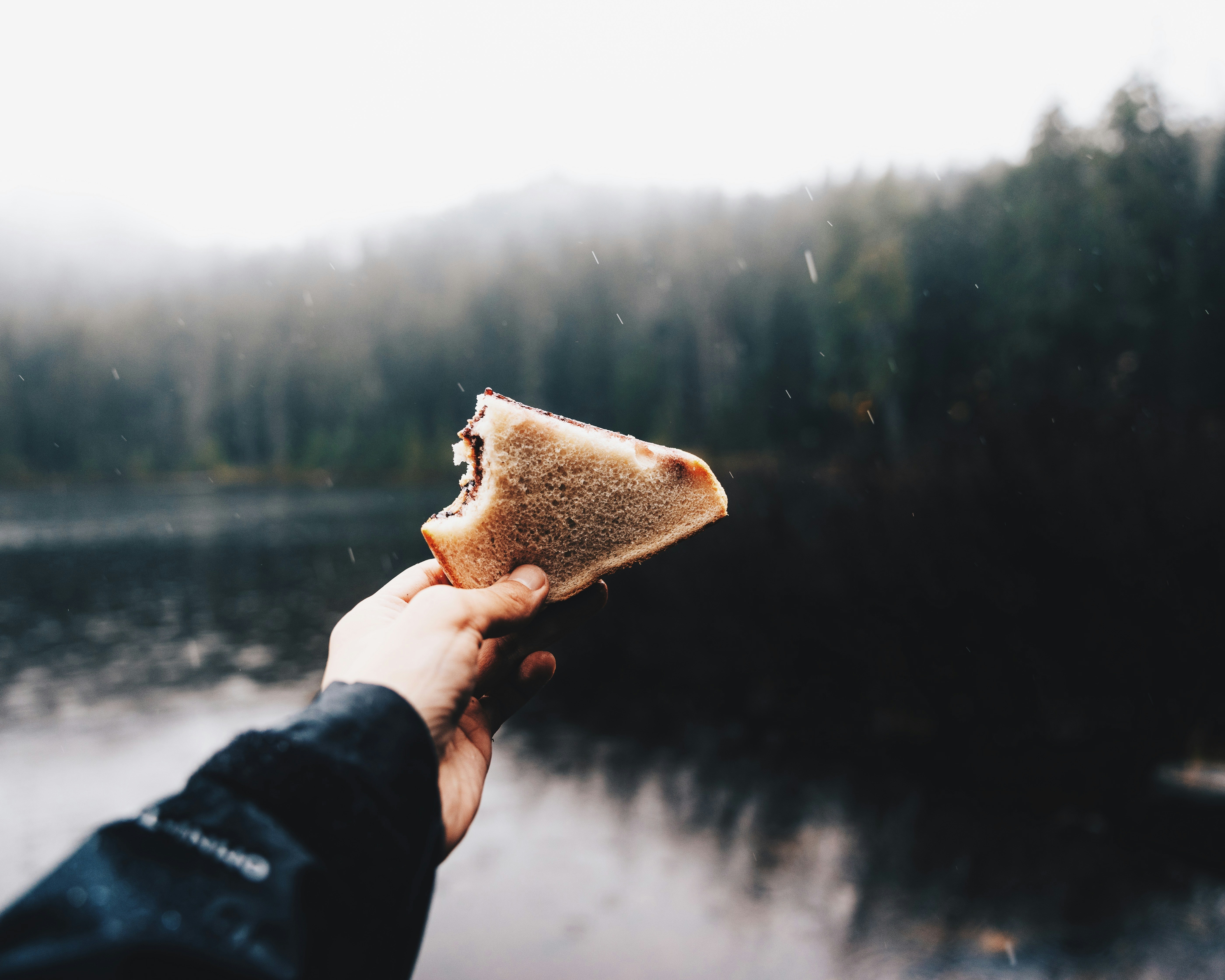 湖の前でサンドイッチを楽しむ人。