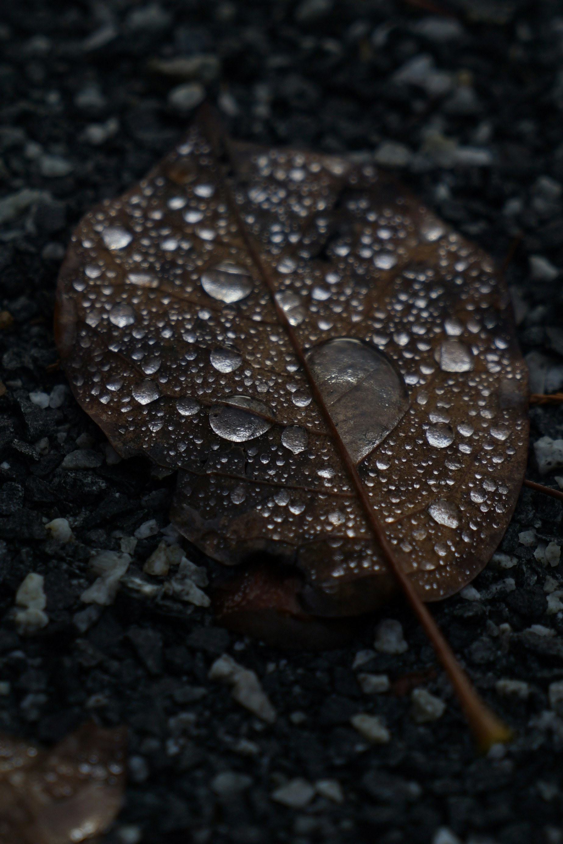 Photo by acinomferreira