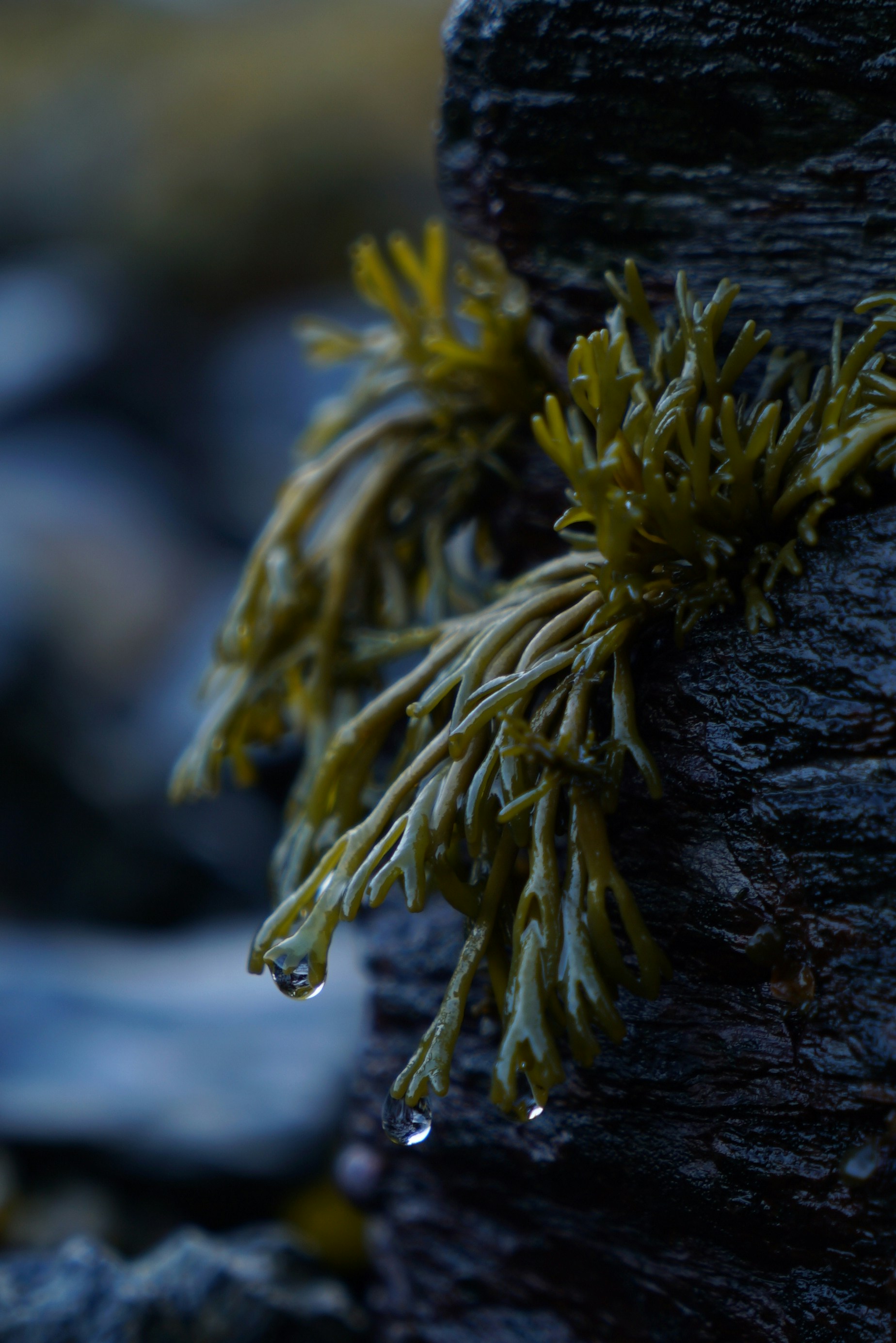 Photo by acinomferreira