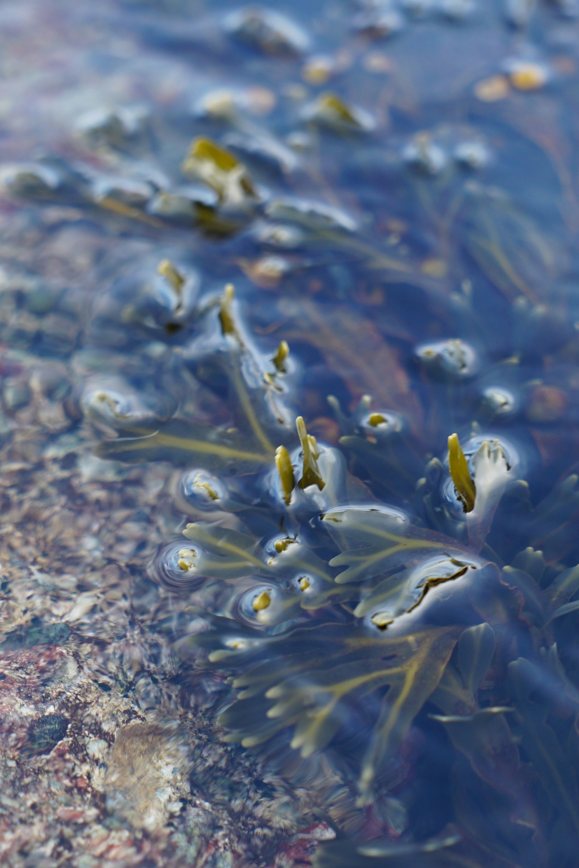 Photo by acinomferreira