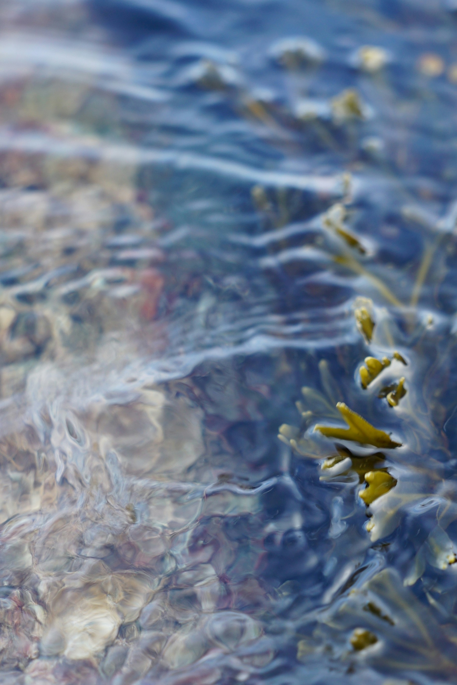 Photo by acinomferreira