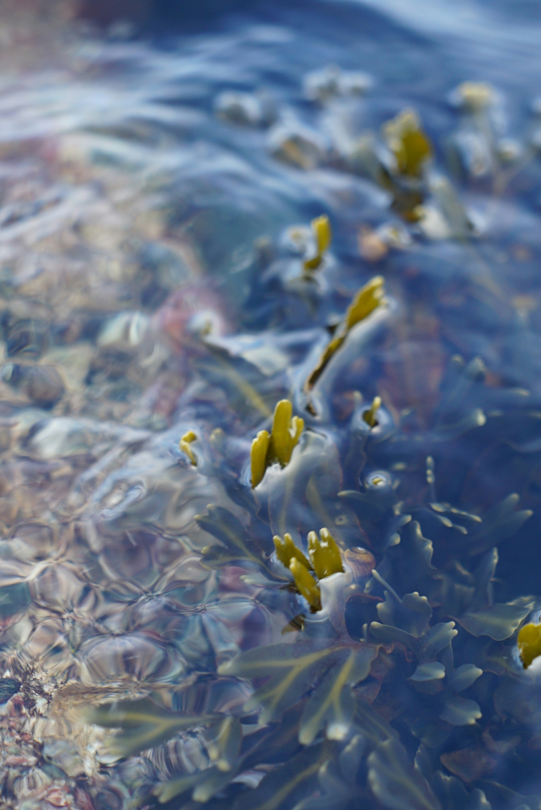 Photo by acinomferreira