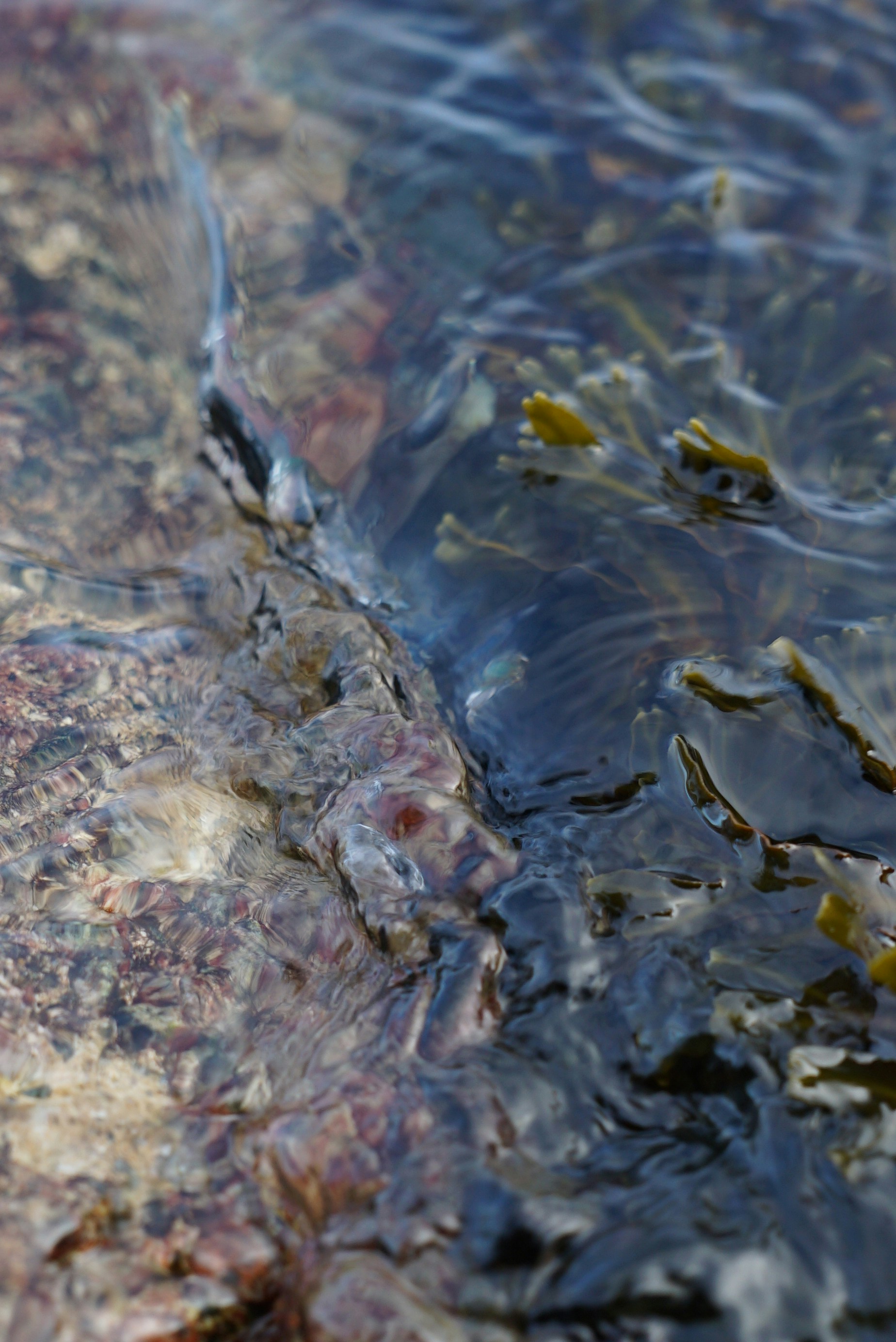 Photo by acinomferreira