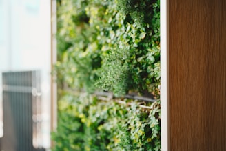 A green wall with wood framing.