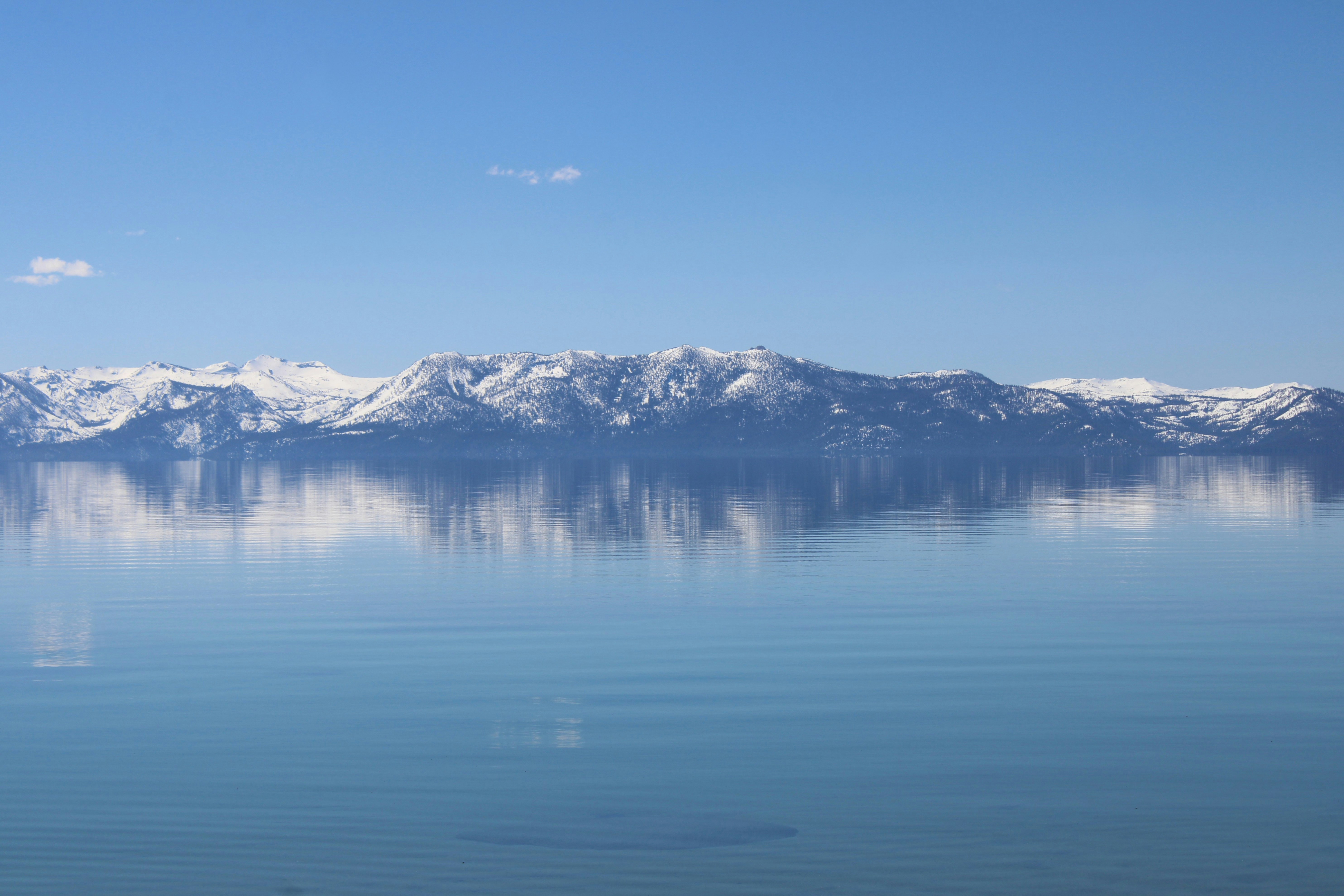 Photo by seymourtseng