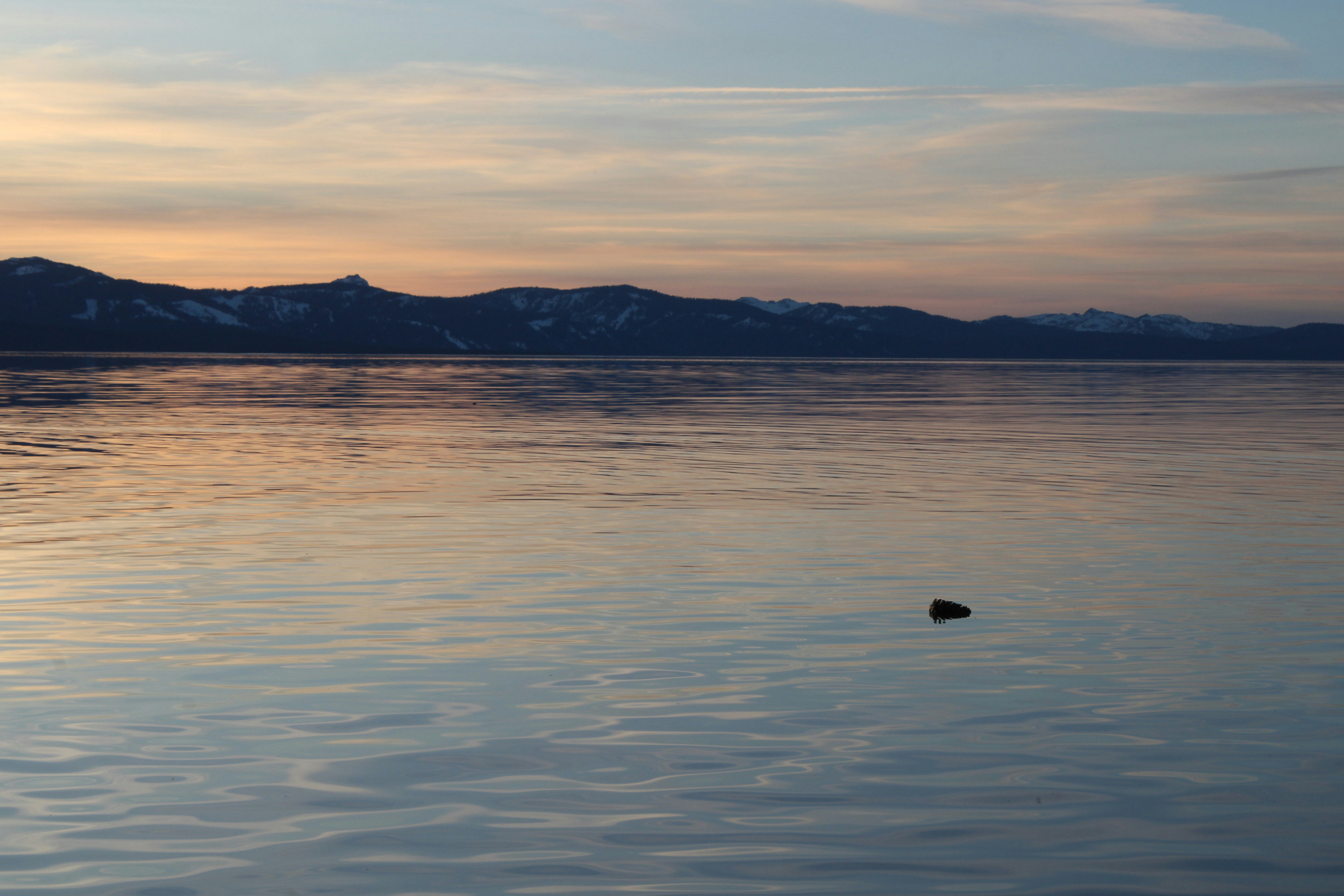 Photo by seymourtseng