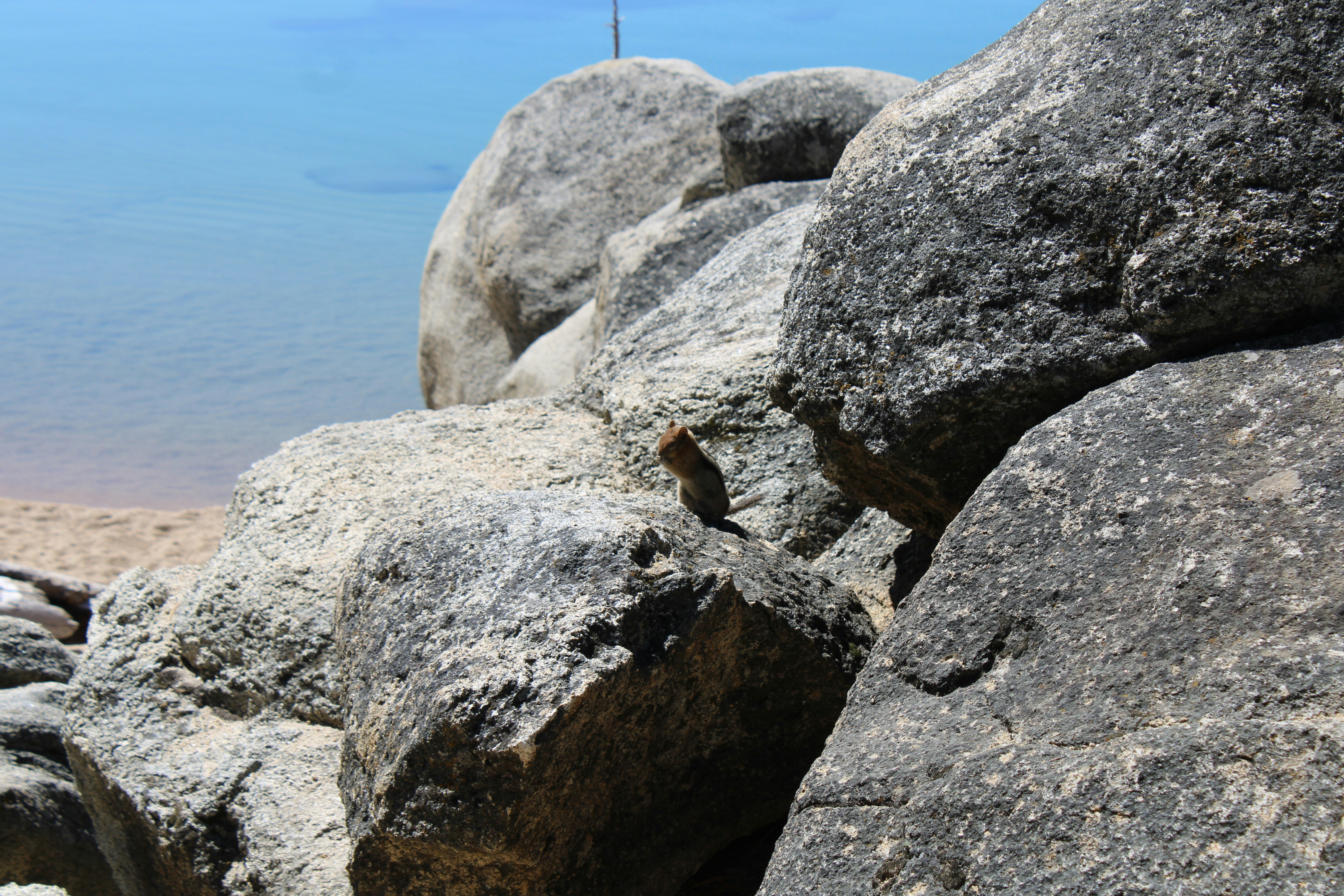 Photo by seymourtseng