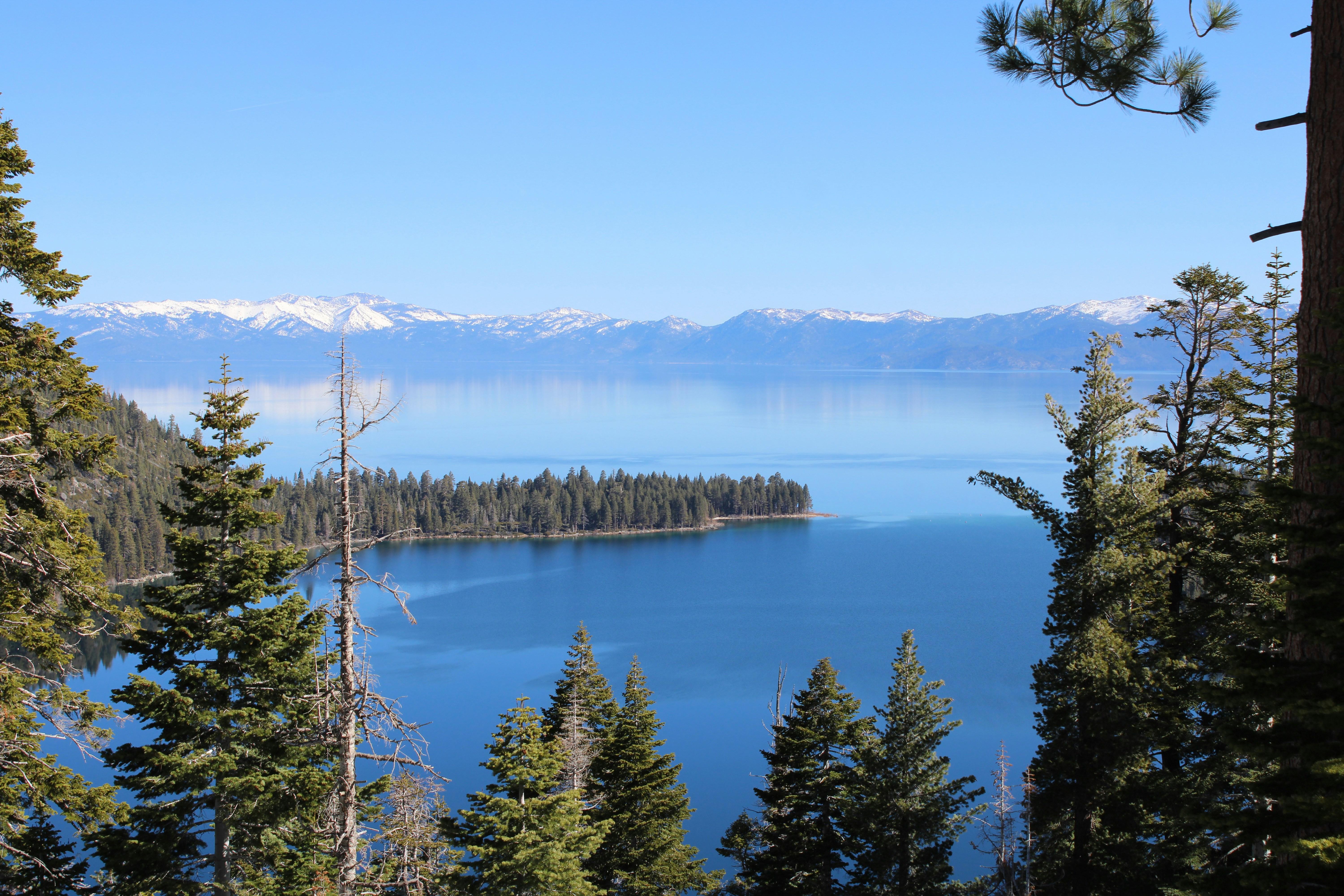 Photo by seymourtseng