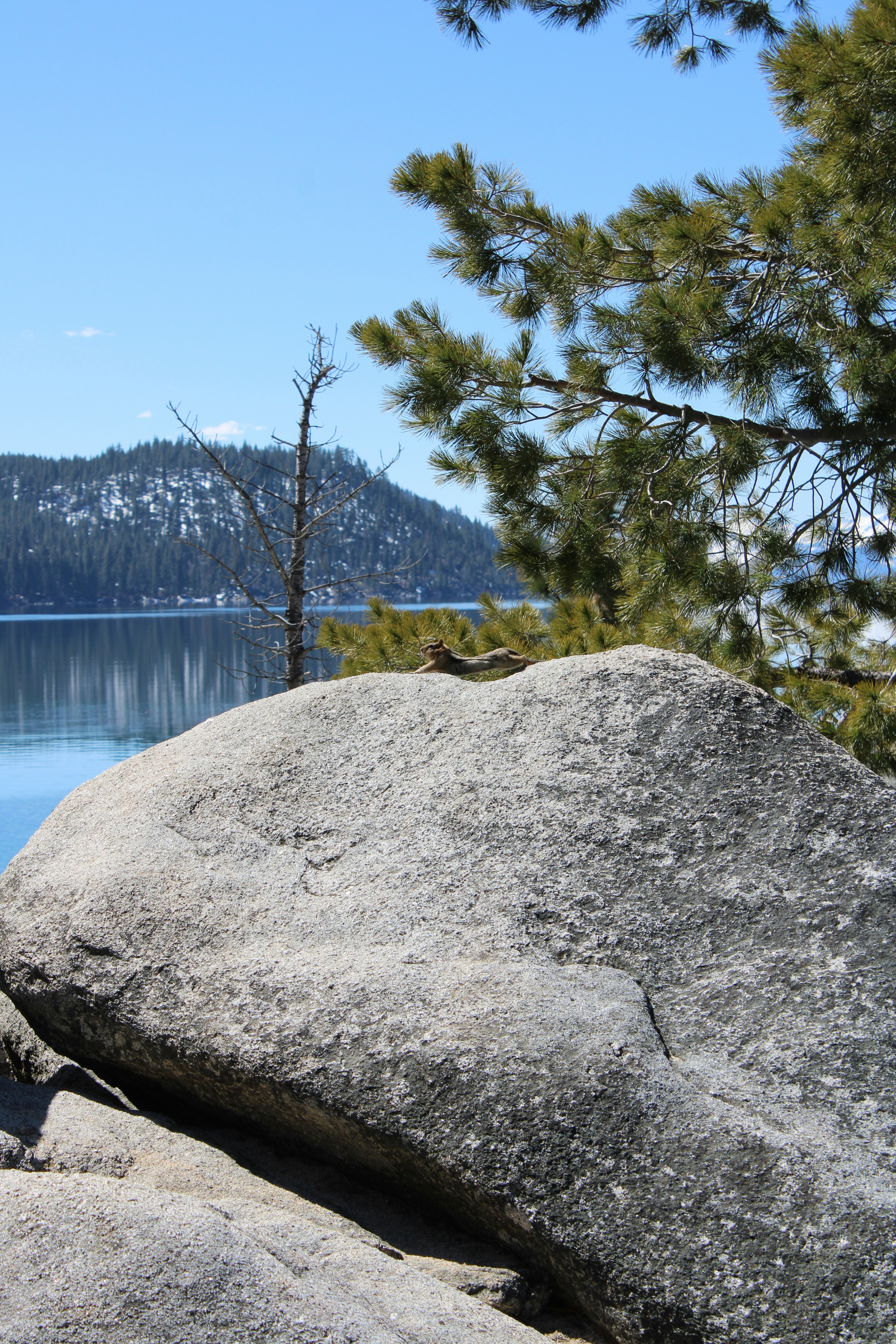 Photo by seymourtseng