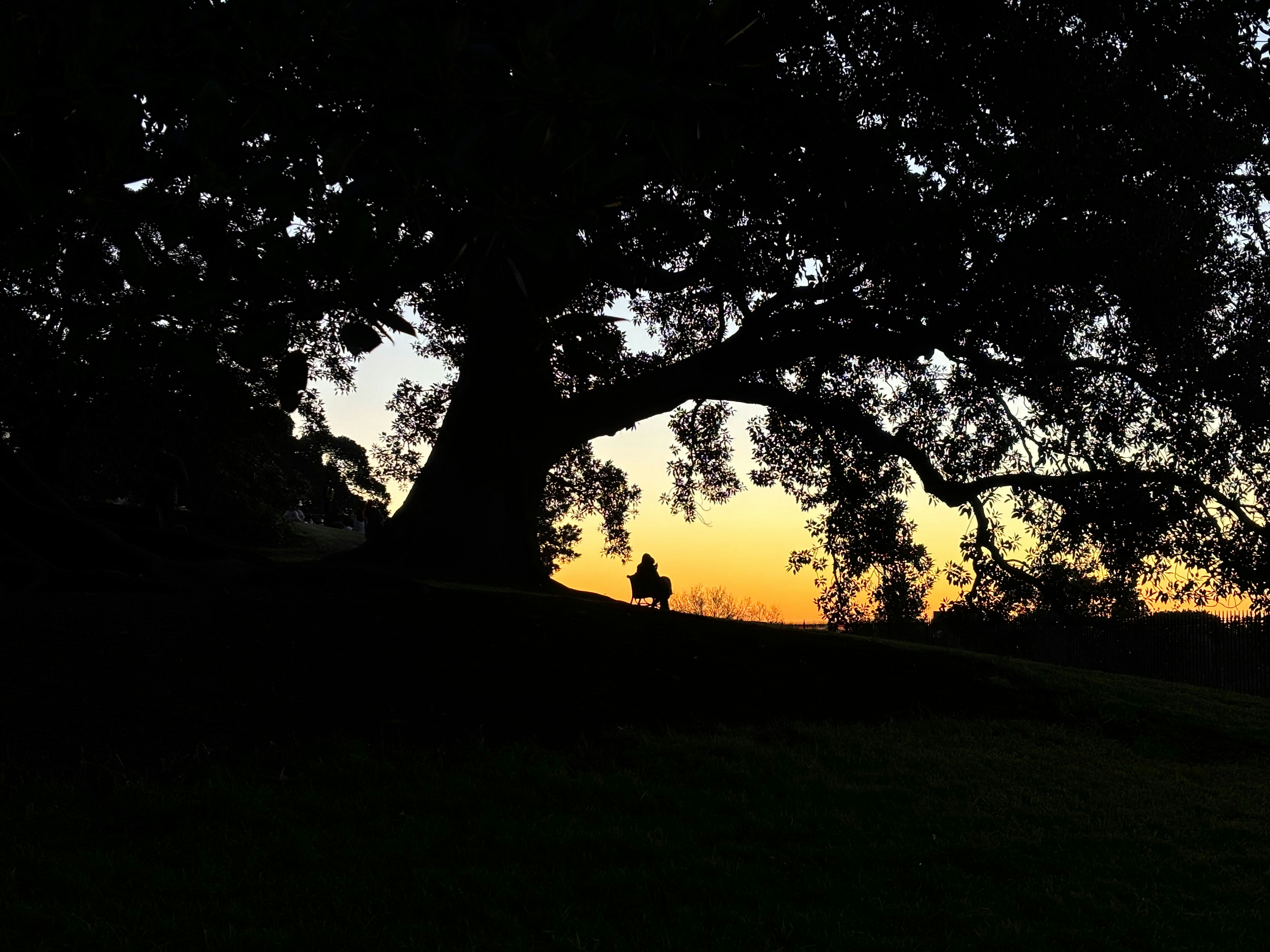 日没時に人が馬に乗ります。