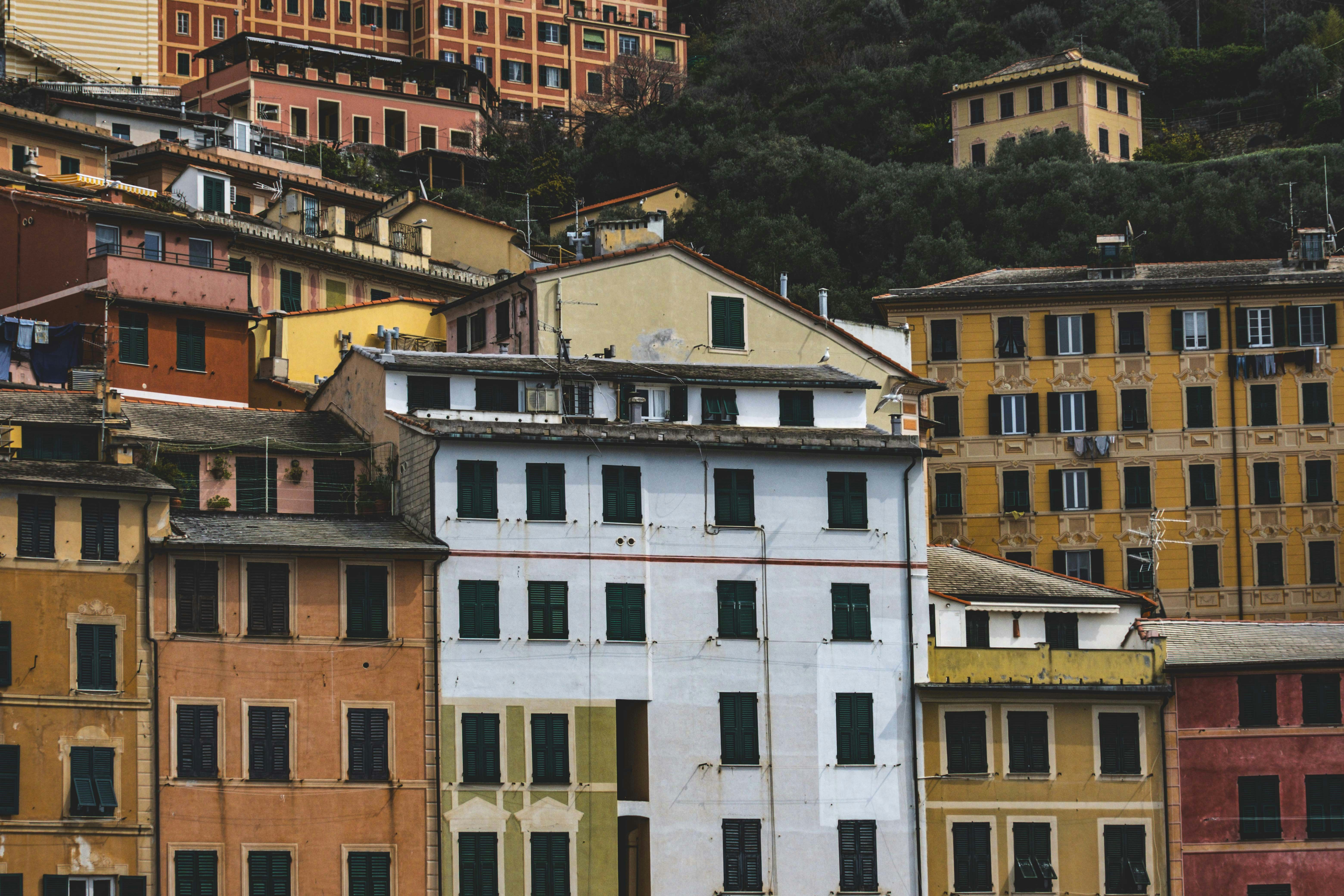 Photo by francesco_ungaro