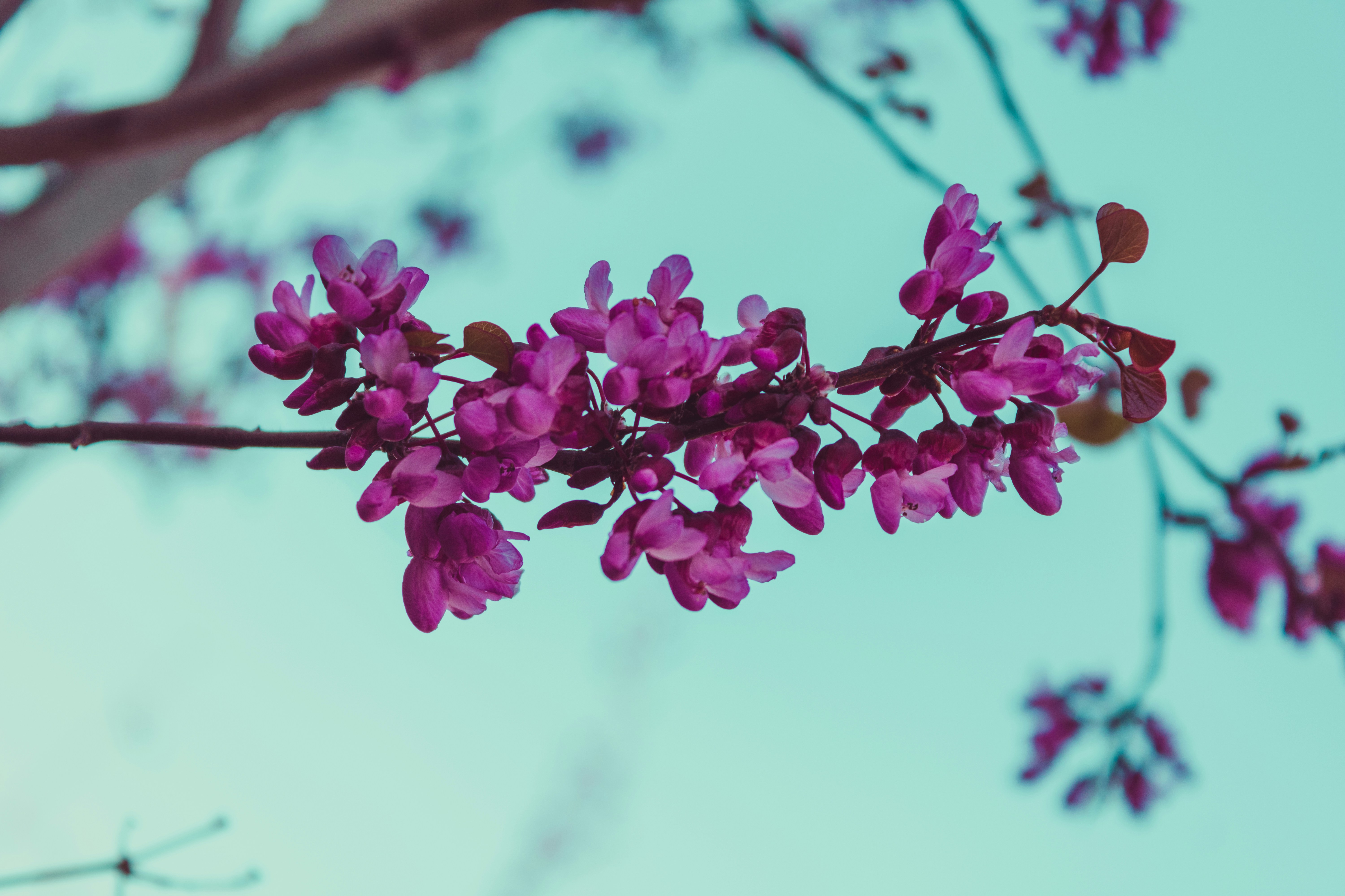 Photo by mohammadelikaei