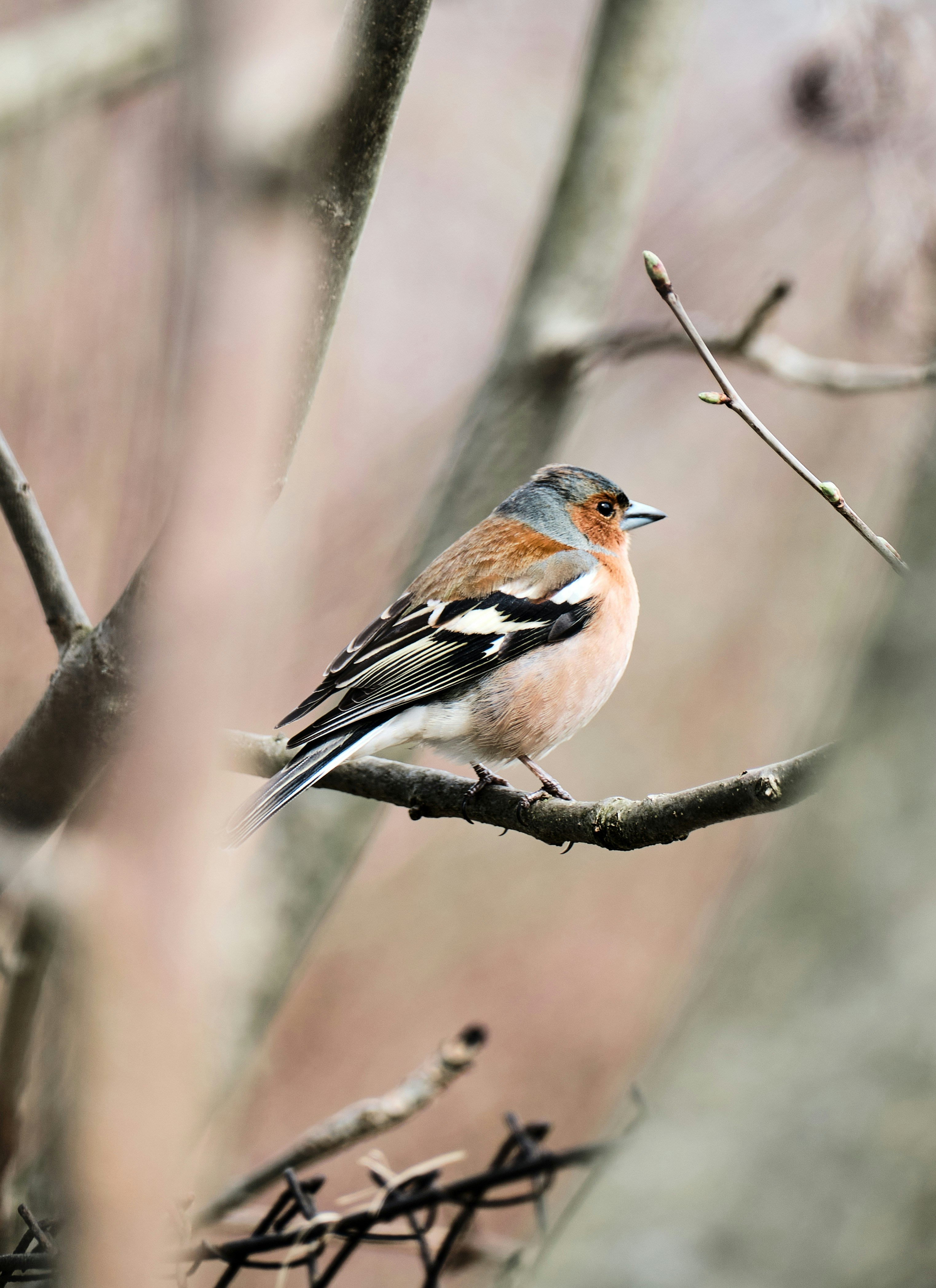 Photo by marcus_ganahl