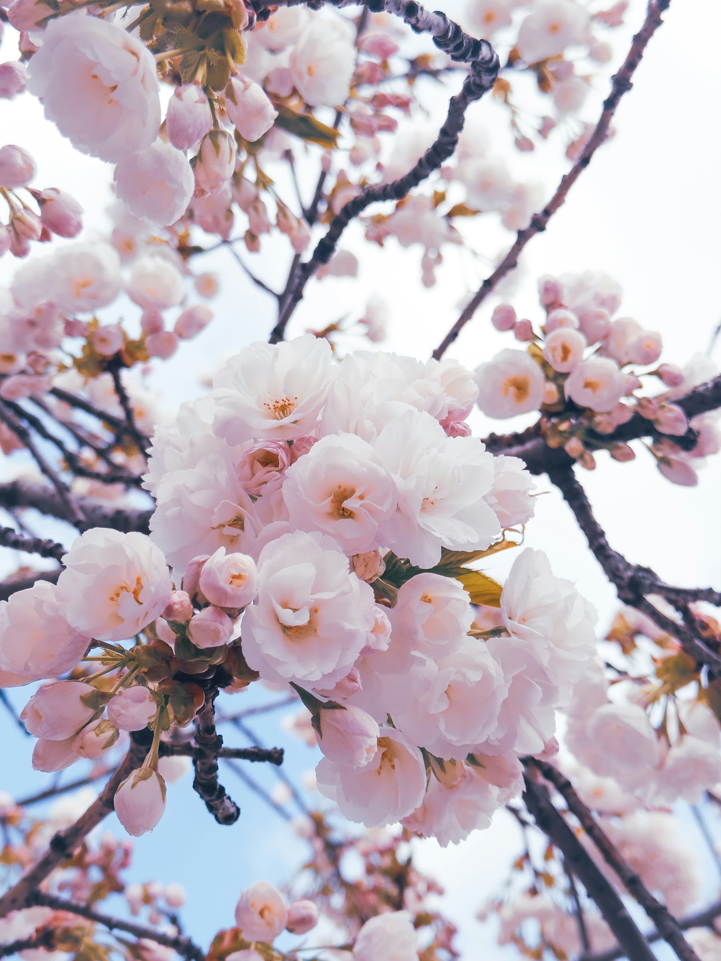 Photo by pariakarimi