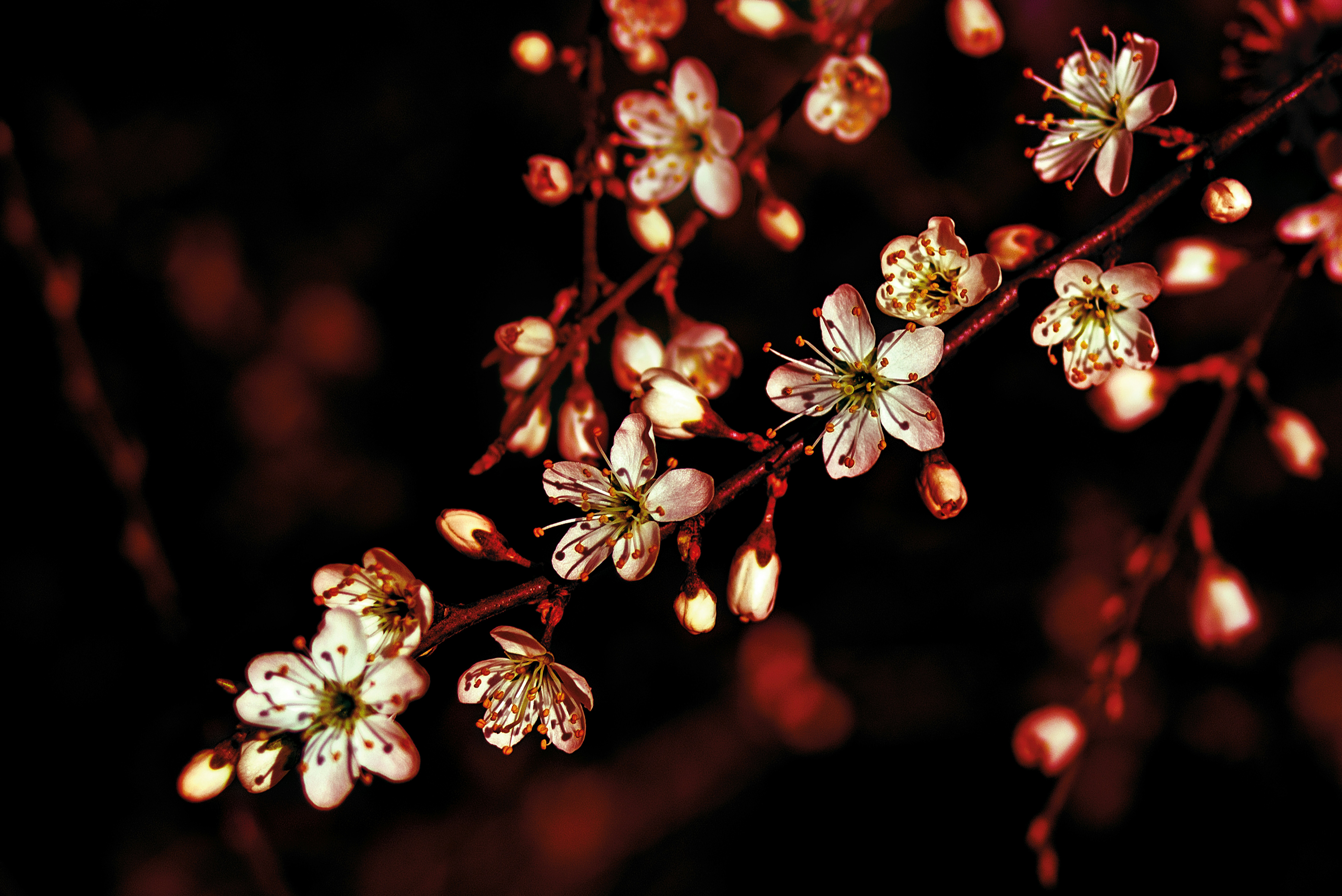 Photo by switch_dtp_fotografie