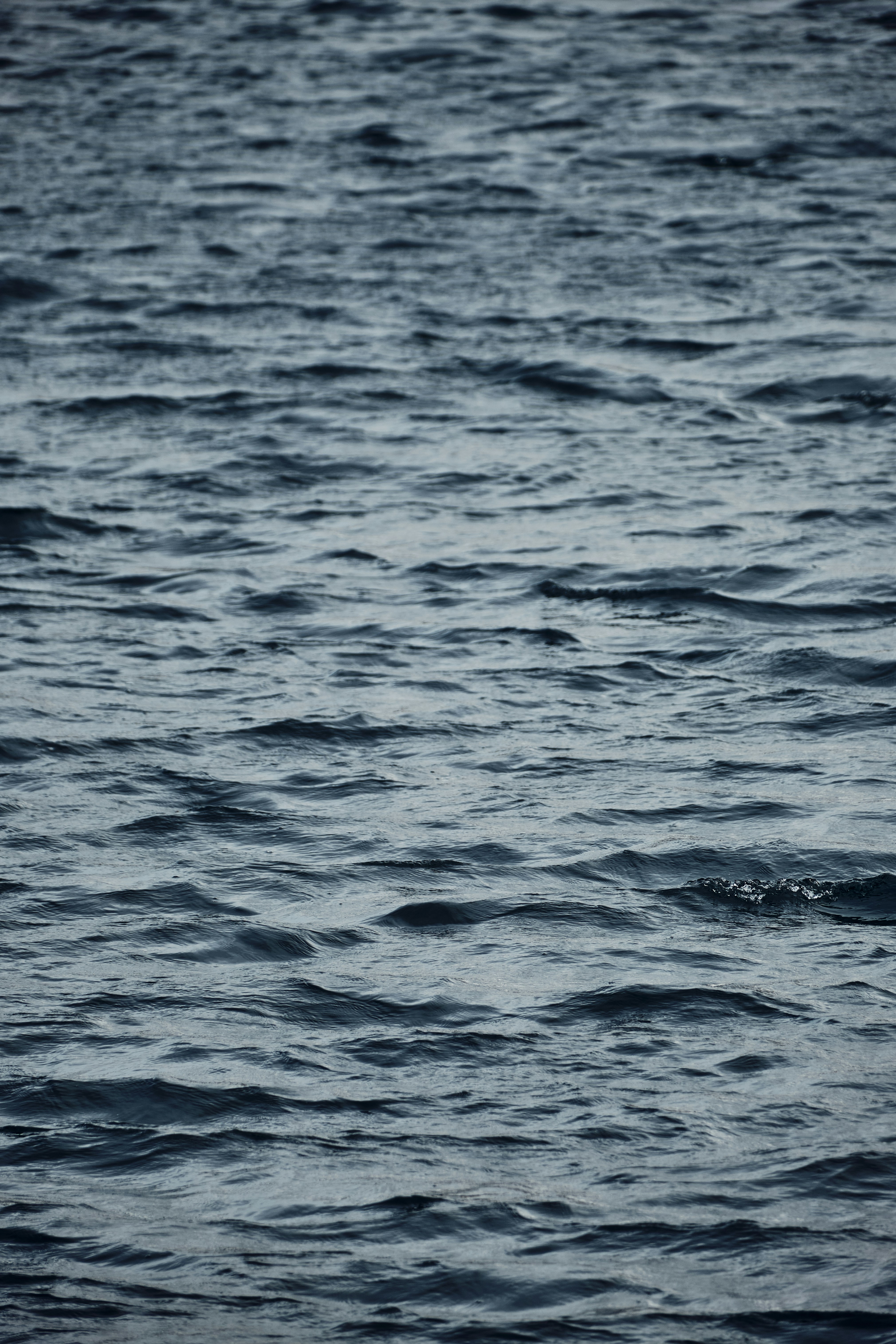 Photo by marcus_ganahl