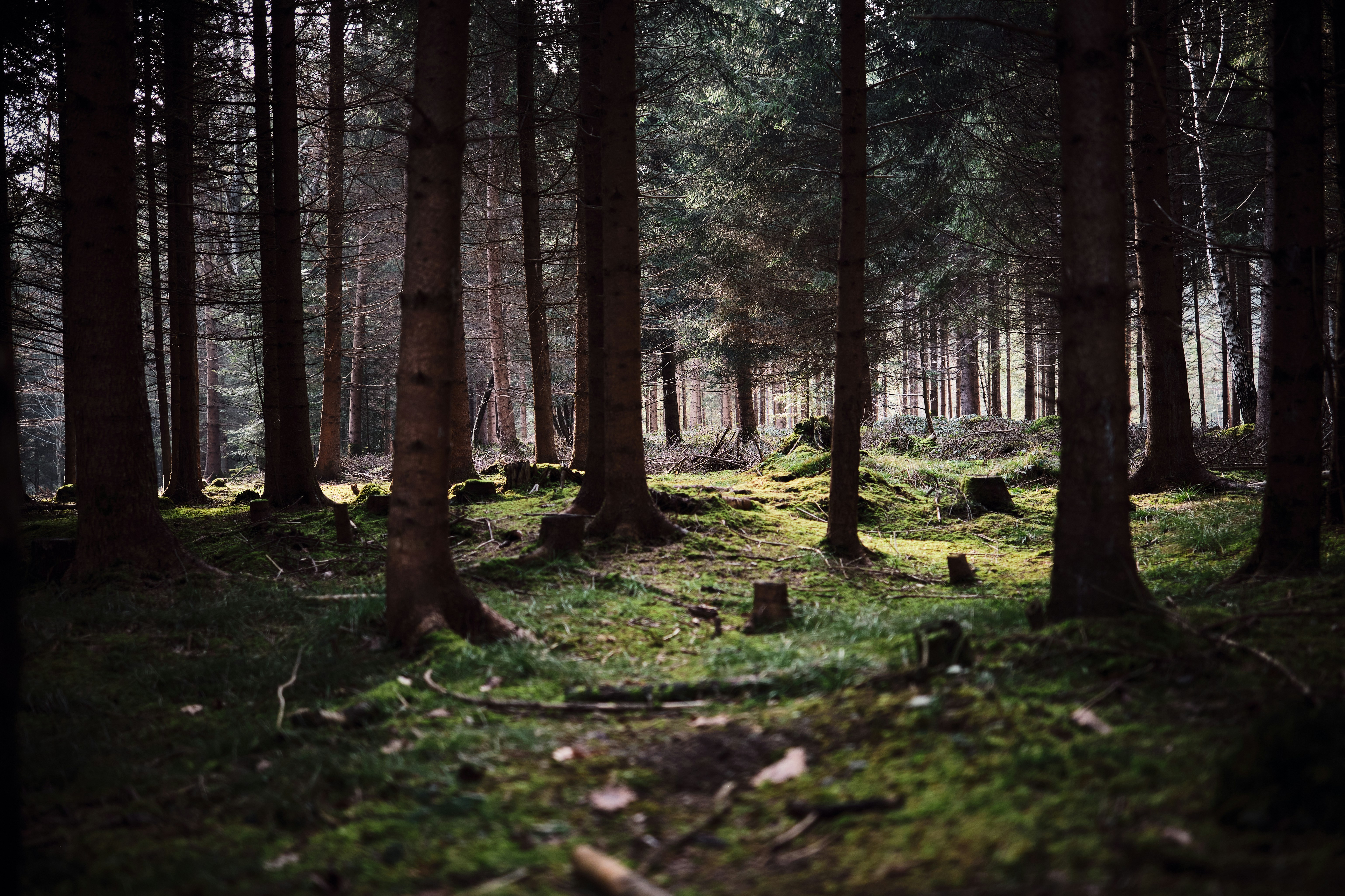 Photo by marcus_ganahl