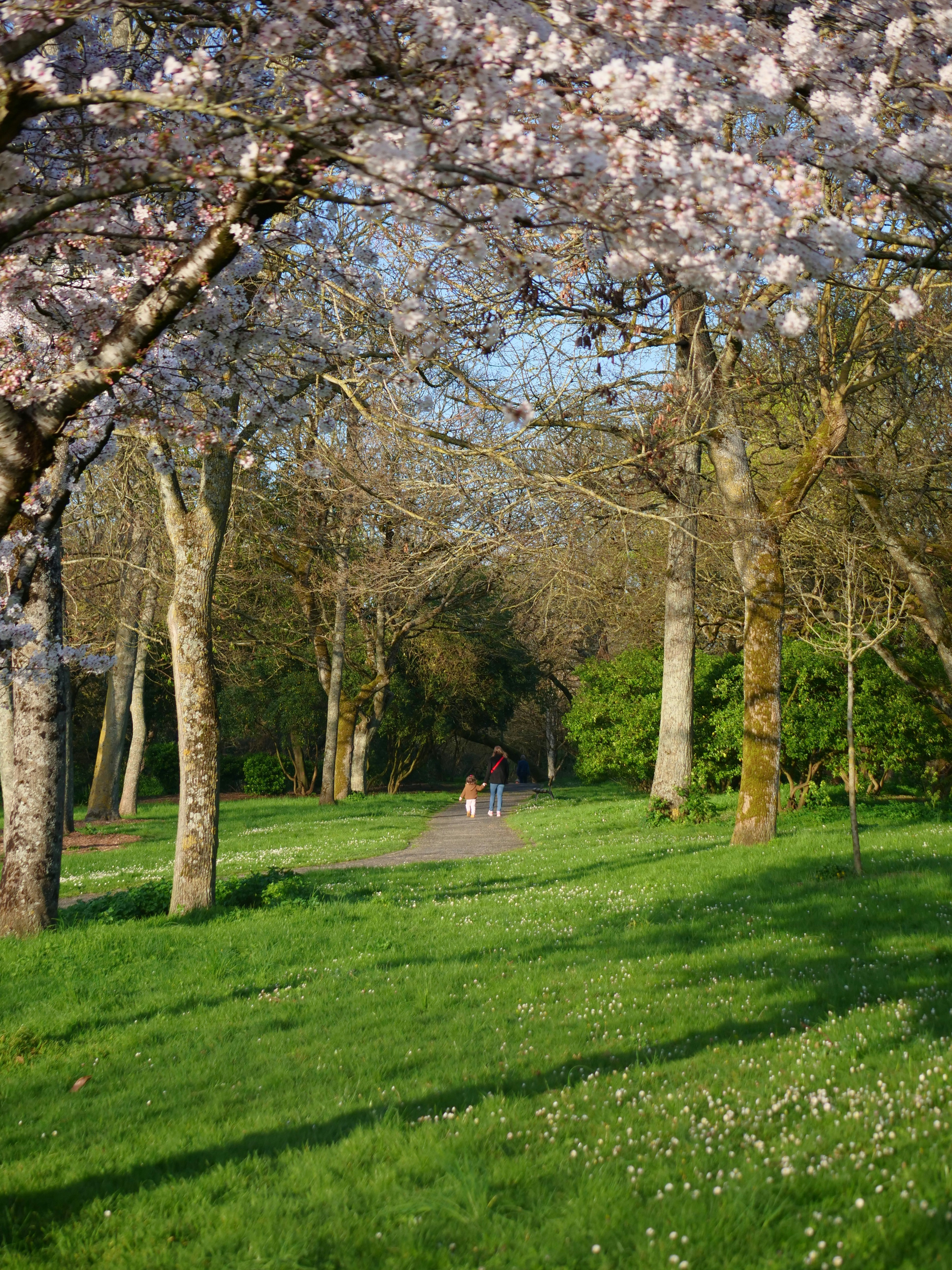 Photo by nimbus_vulpis