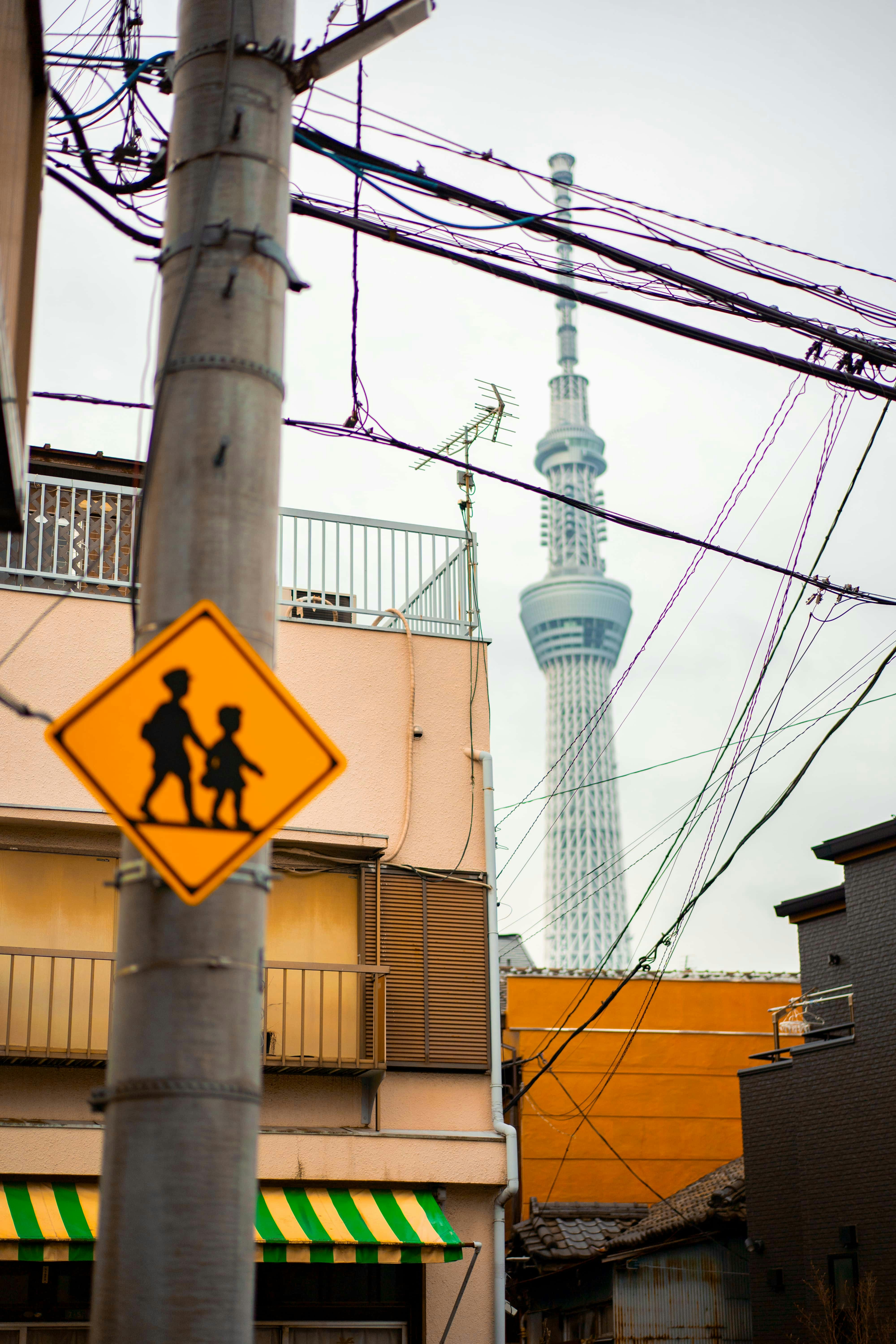 스쿨존 간판과 도쿄 스카이트리가 보입니다.