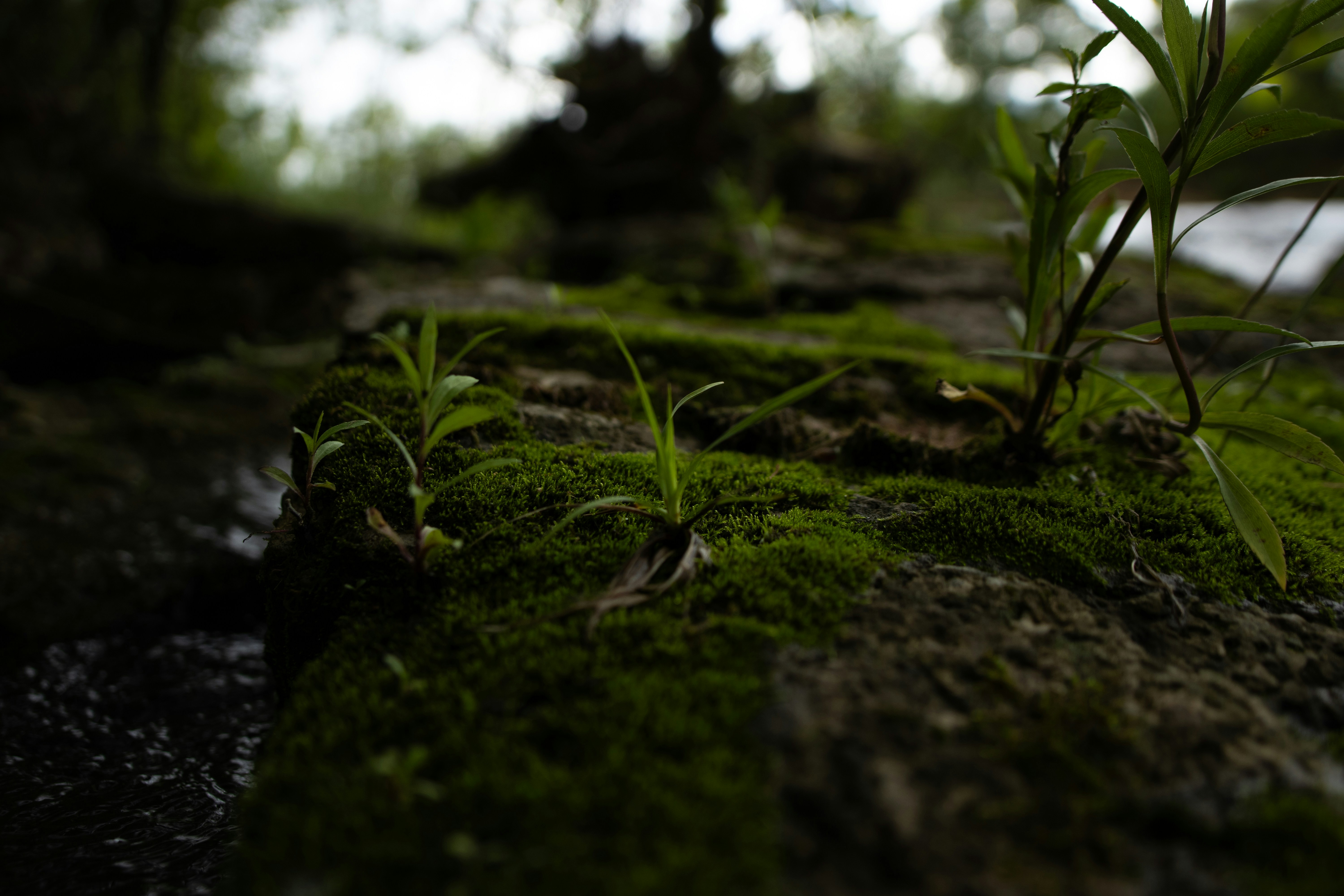 Photo by tysonherrman