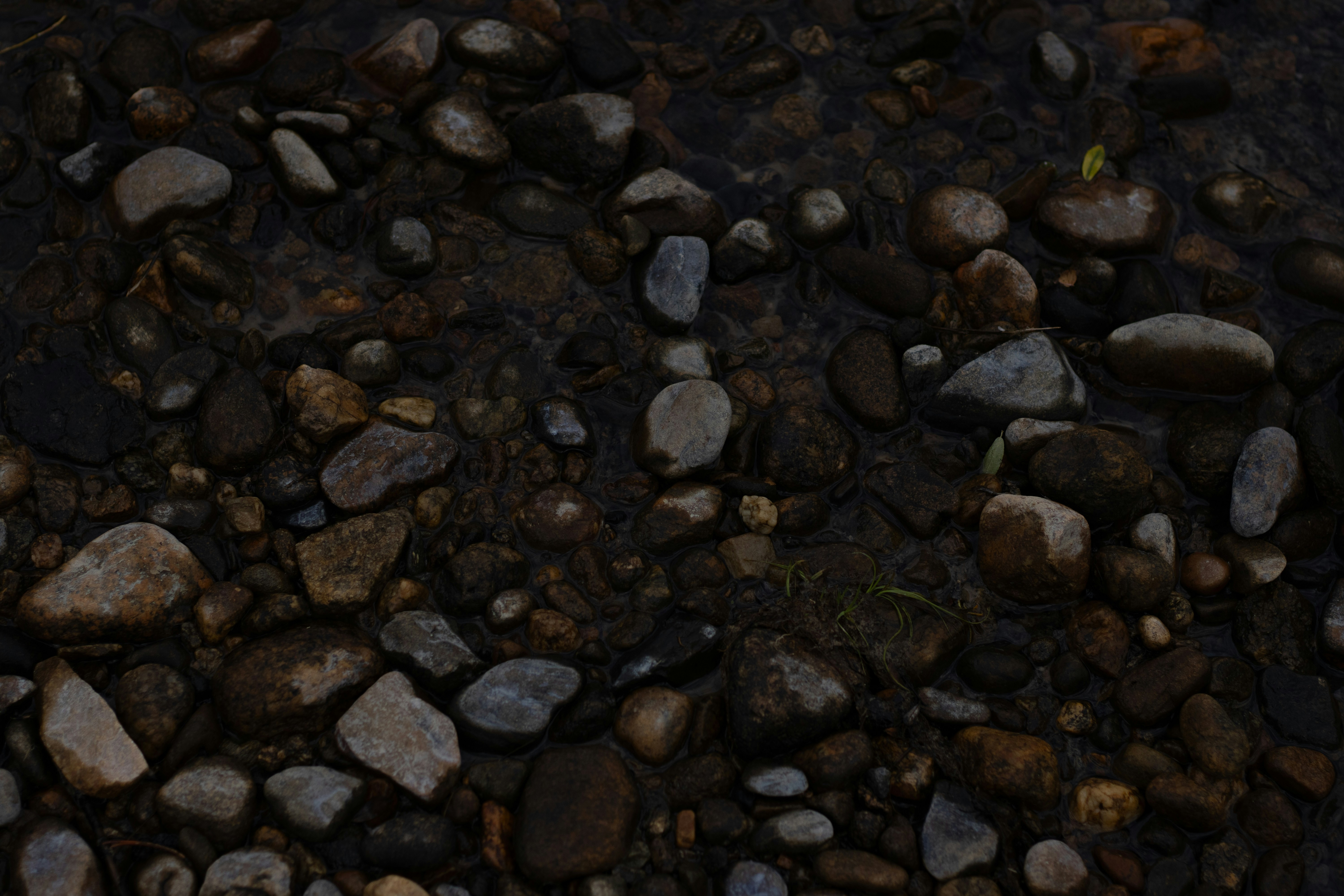 Photo by tysonherrman