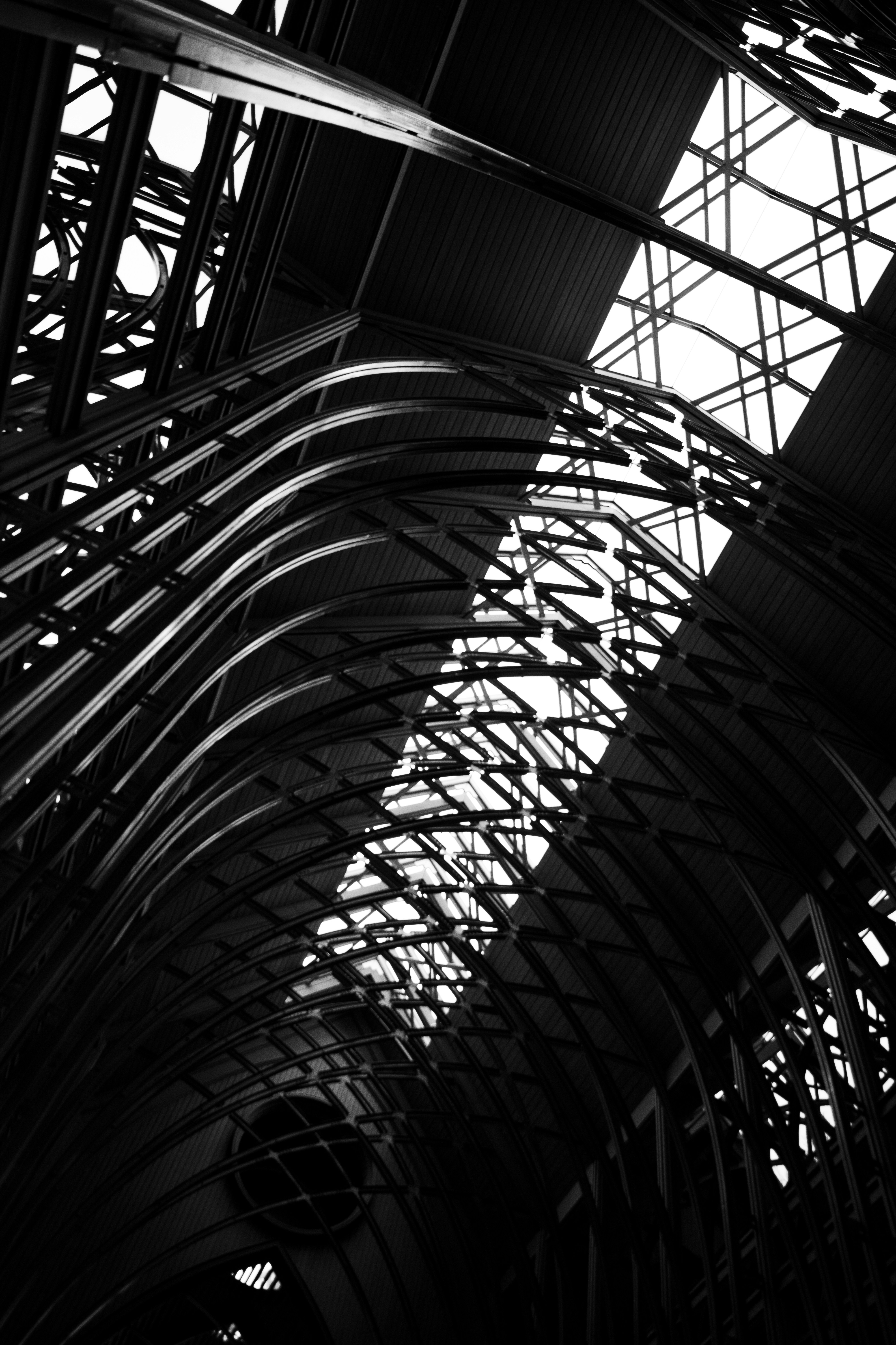 Photo by tysonherrman