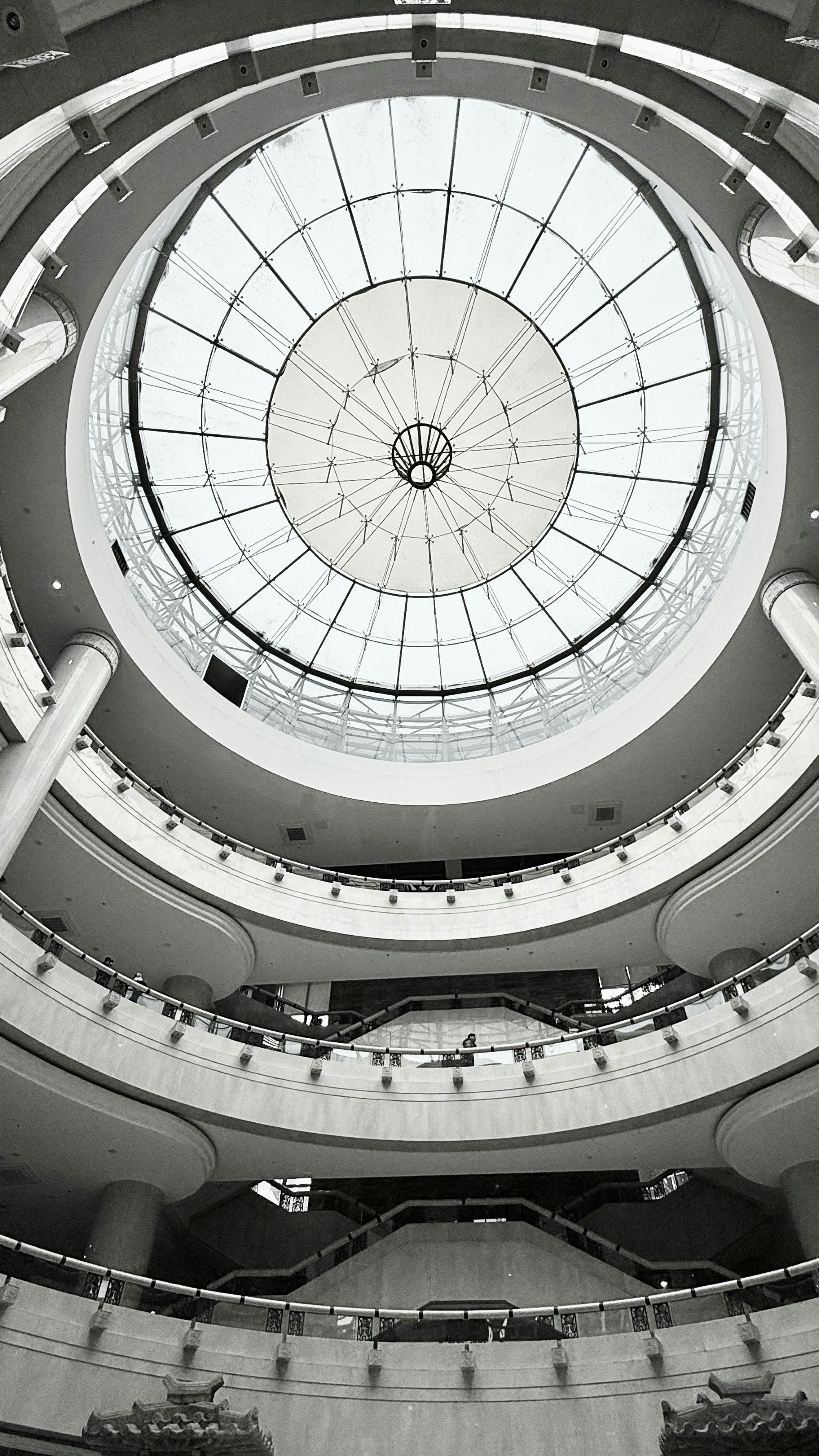 Photo by graciousgiragffe