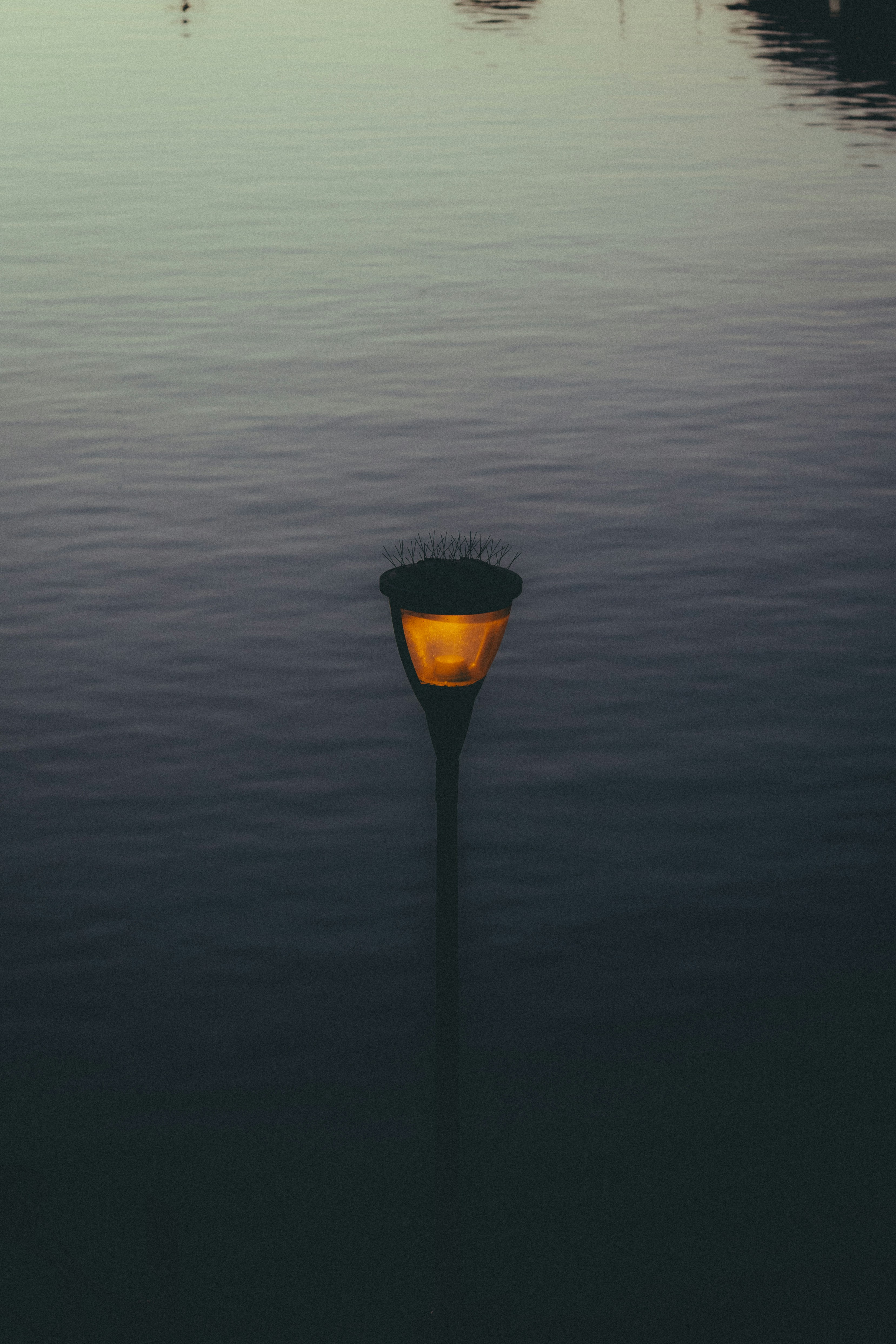 Photo by trail_mix_mike