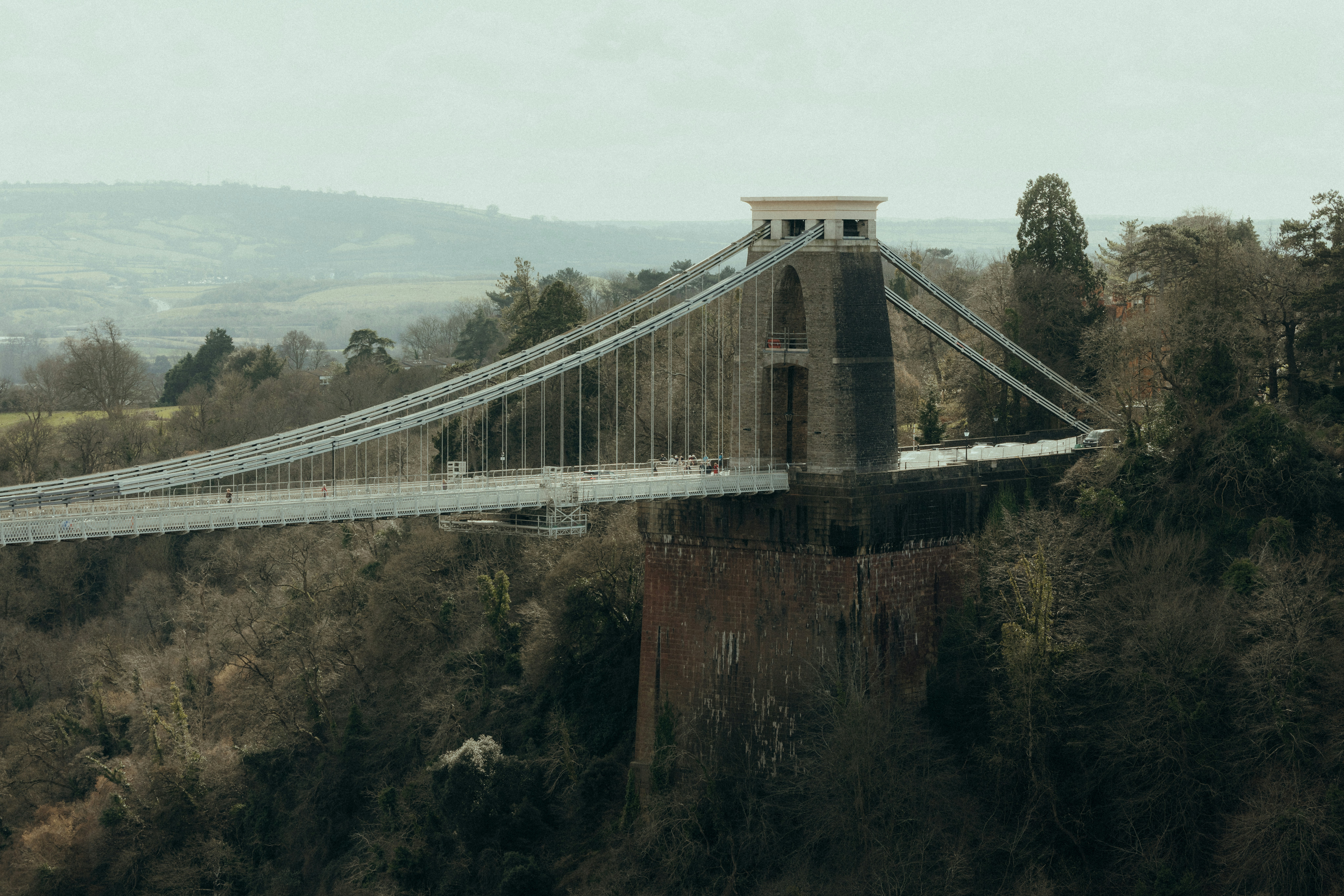 클리프턴 현수교는 나무가 우거진 계곡을 가로지르고 있습니다.