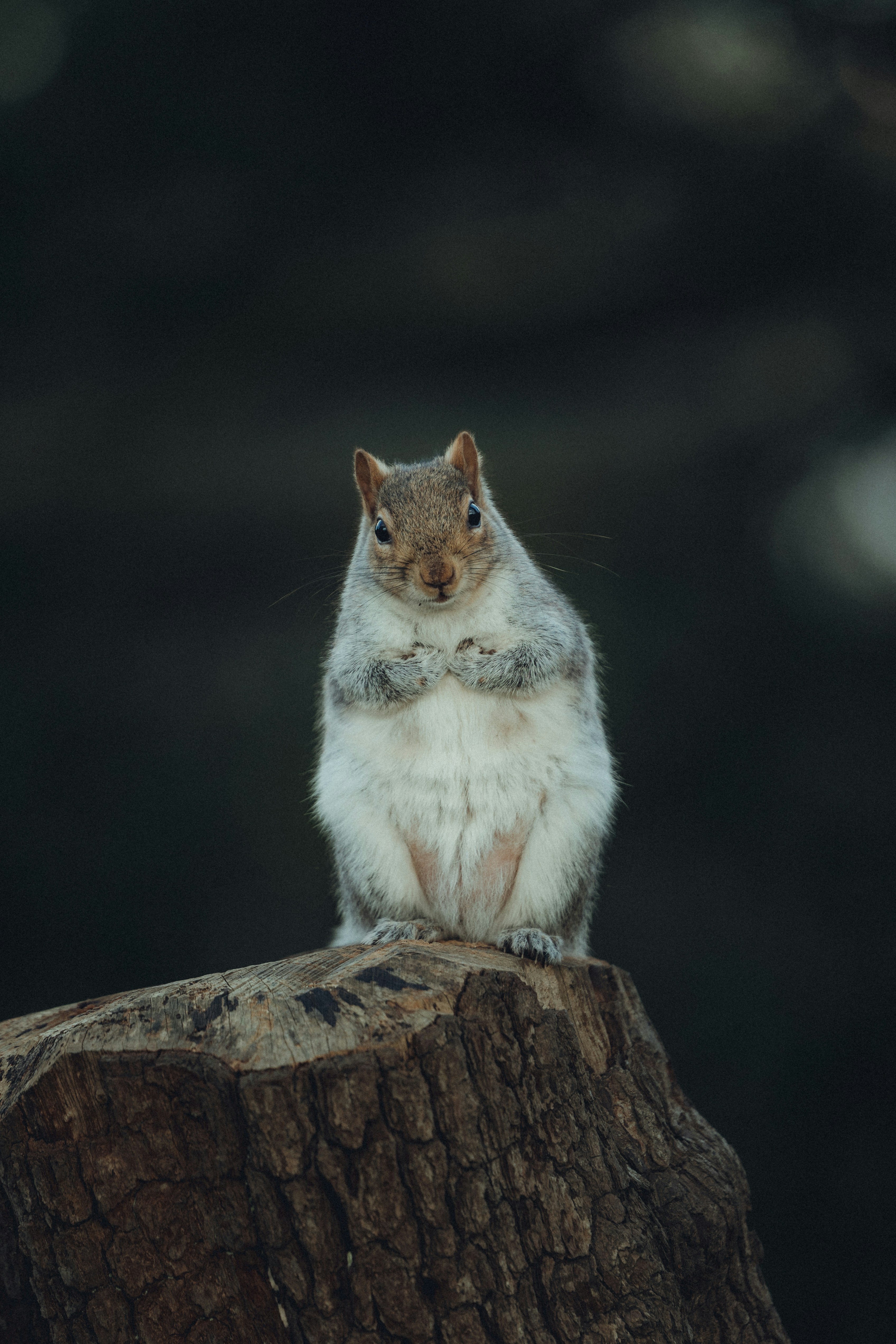 Photo by trail_mix_mike