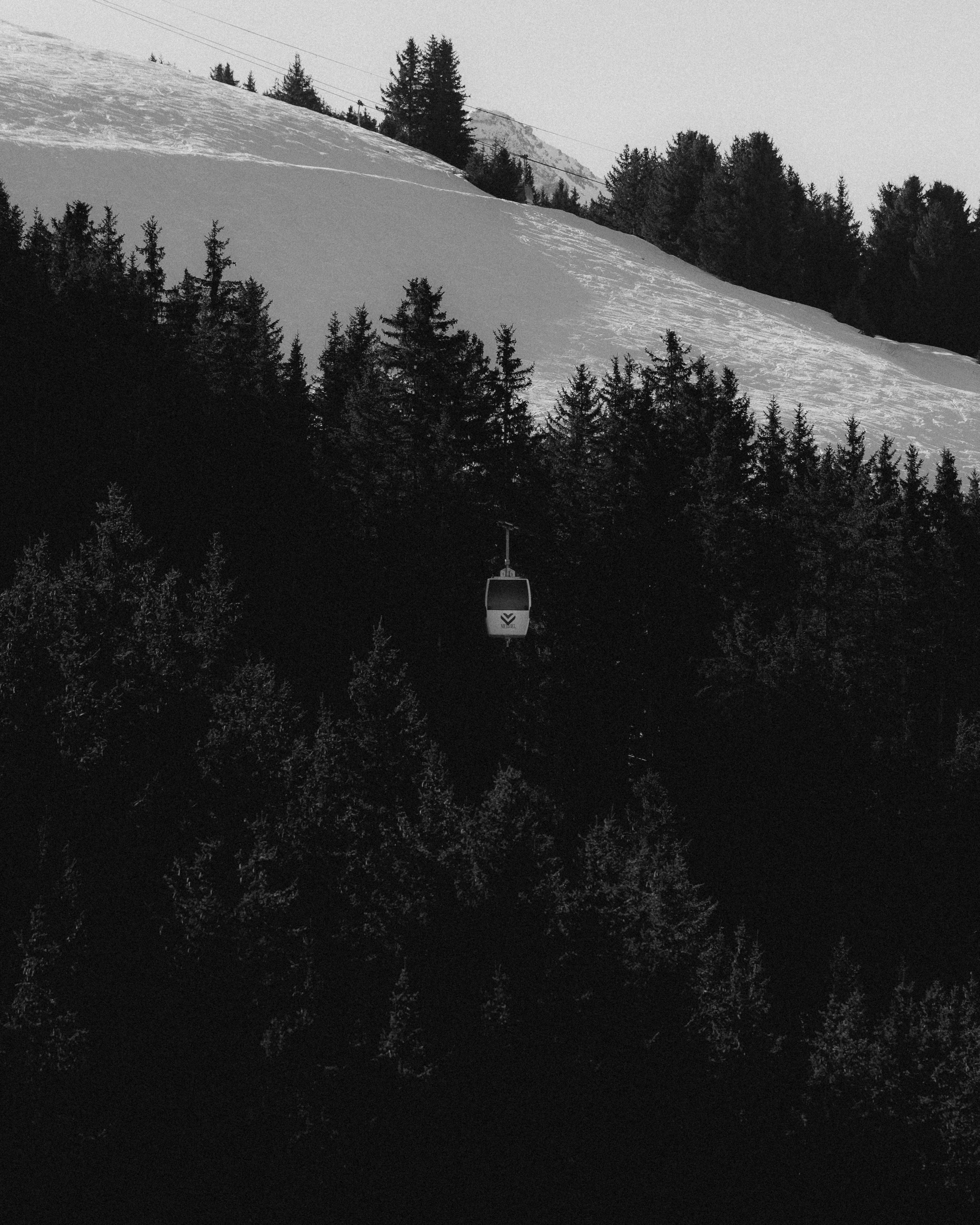 Mit einer Seilbahn geht es durch Bäume hinauf auf den verschneiten Hang.