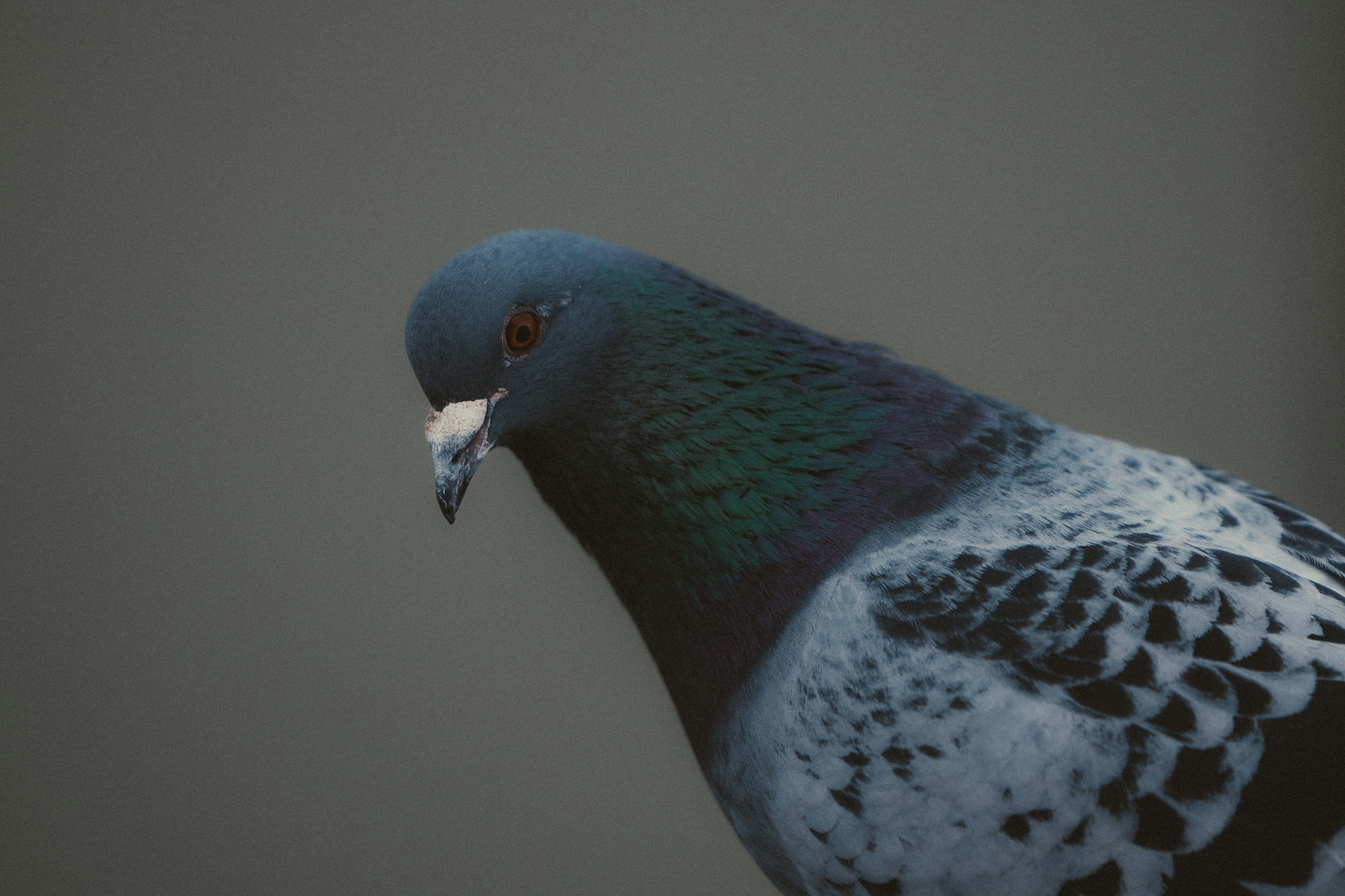 Photo by trail_mix_mike