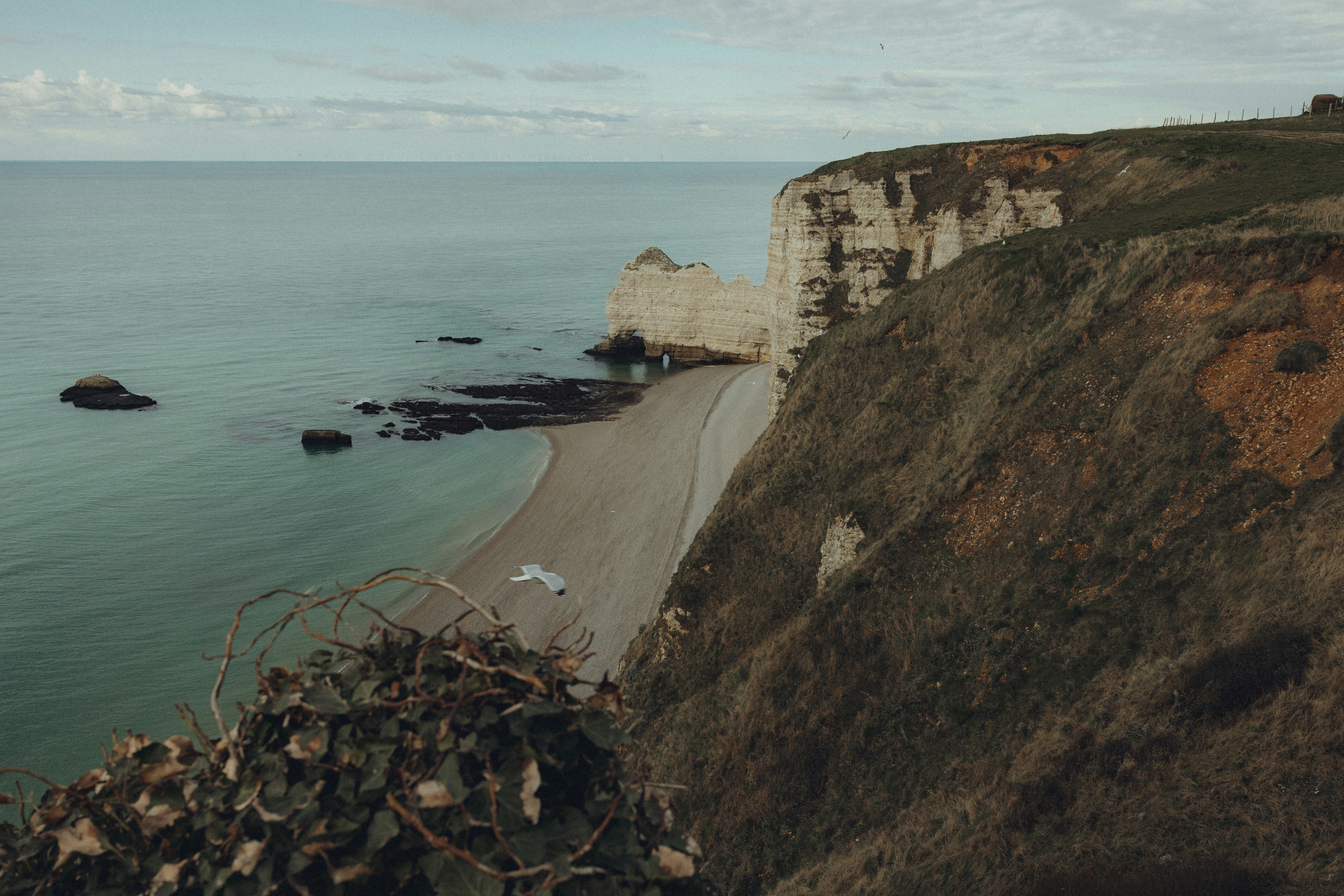 Photo by trail_mix_mike