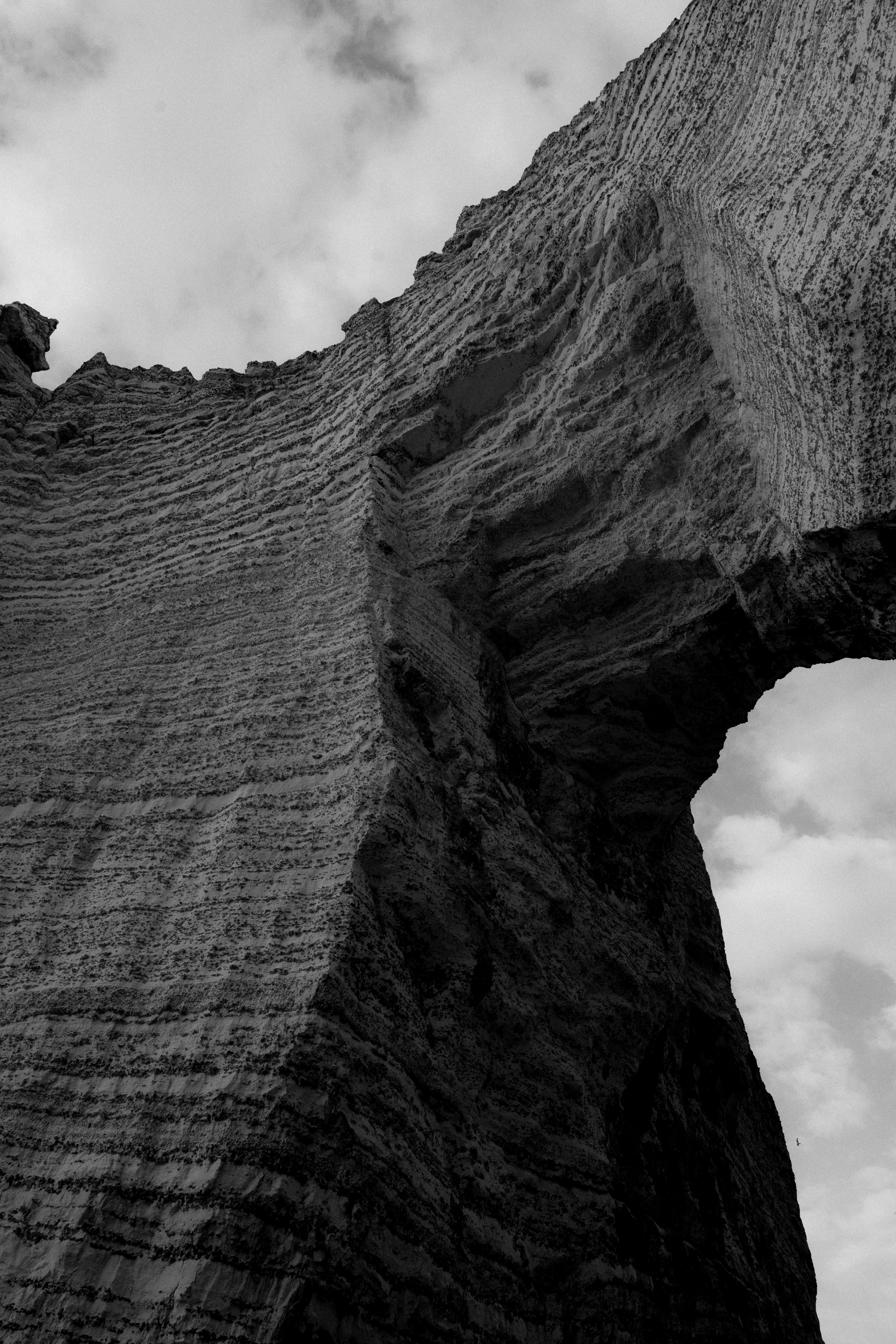 Photo by trail_mix_mike