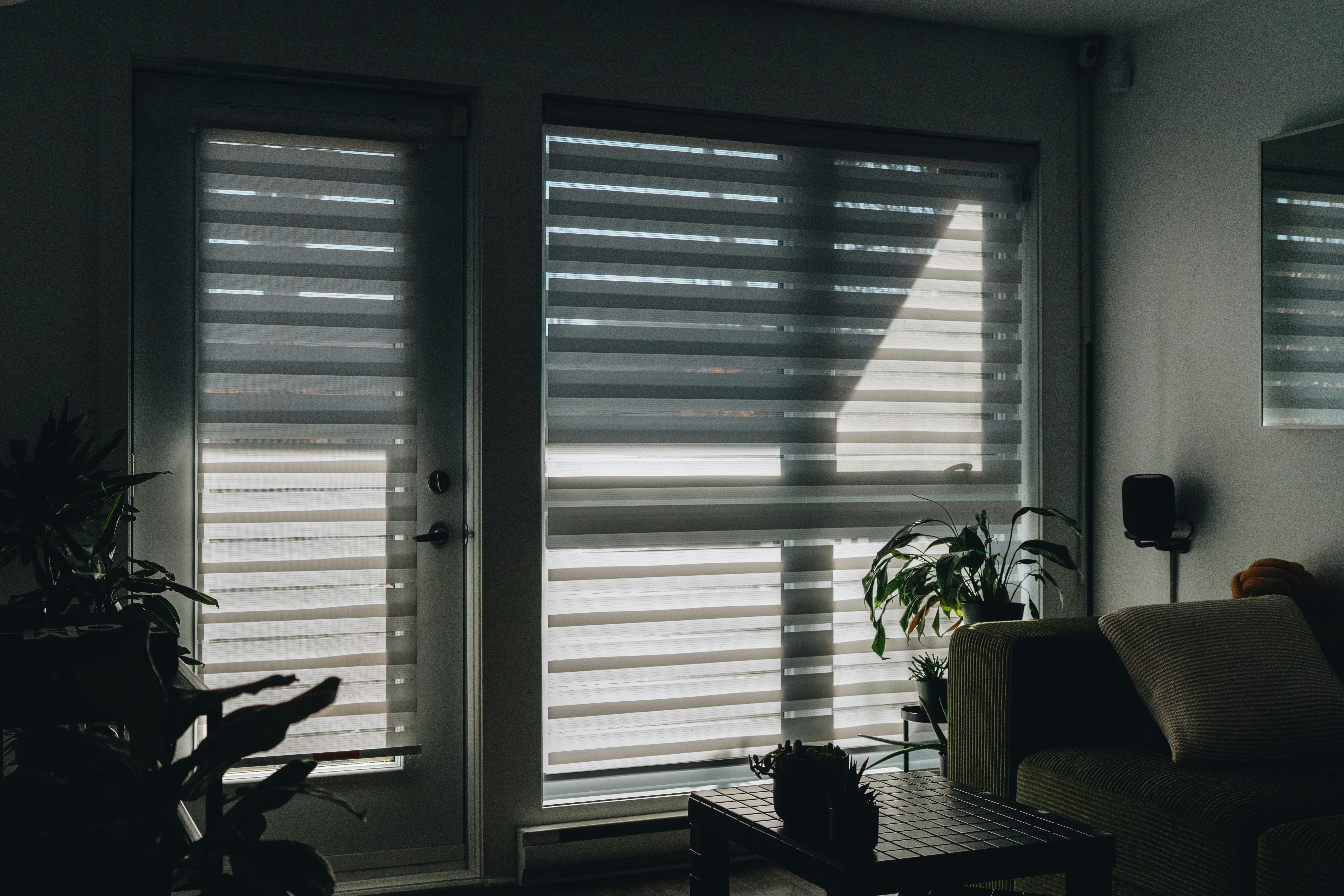 Photo by user90807060